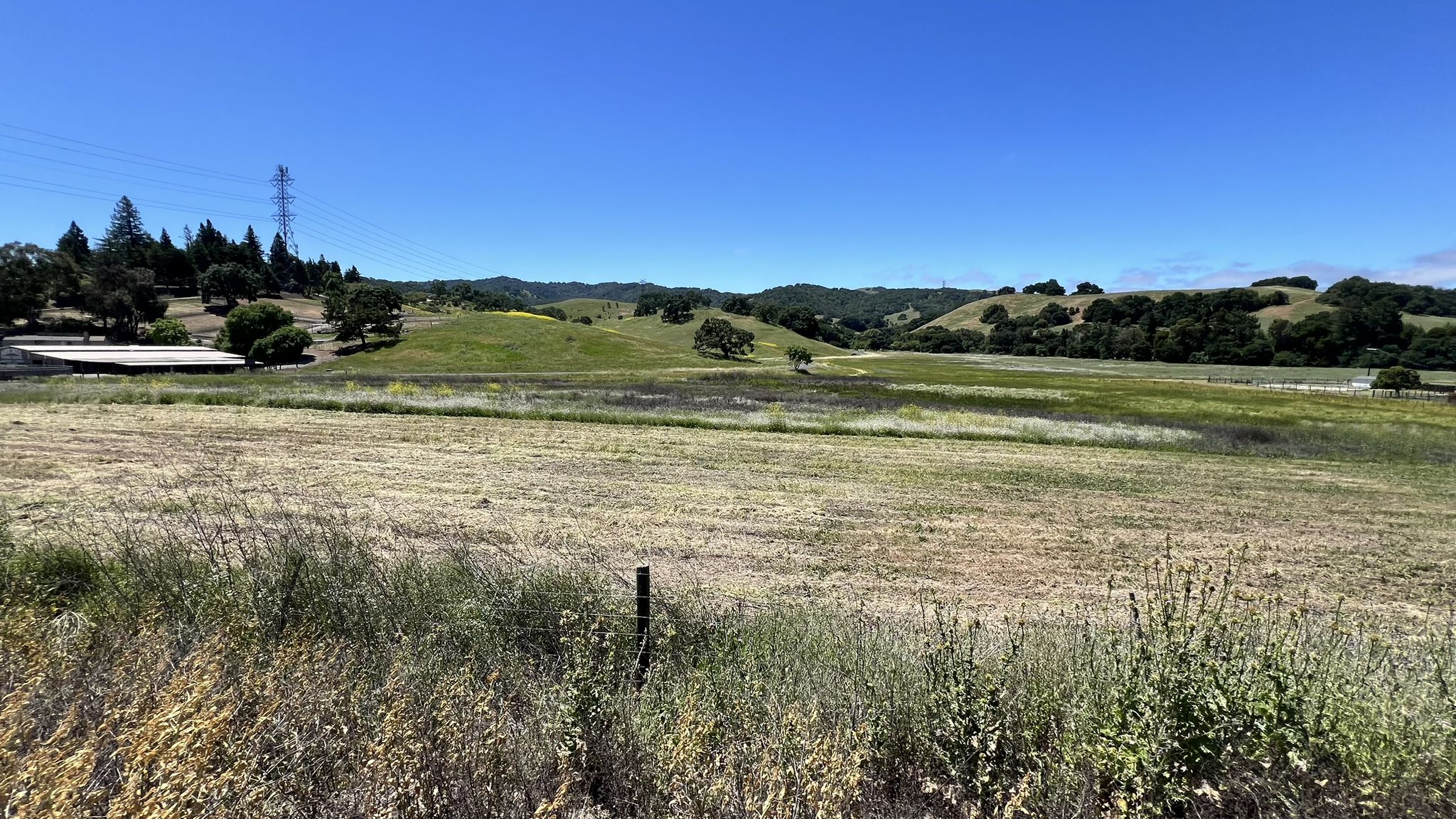 Wide open field with dry grass, green hills, and a clear blue sky. - Briones Reservoir loop