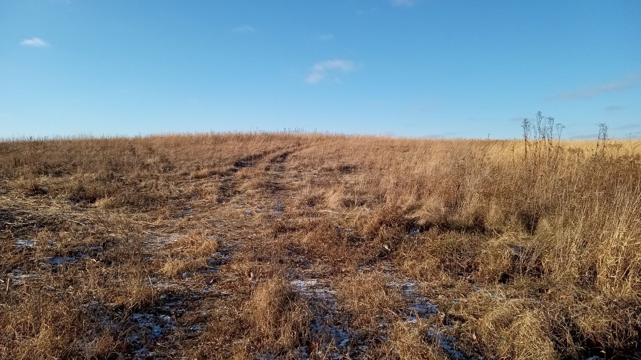 this trail comes all the way up to another farm field