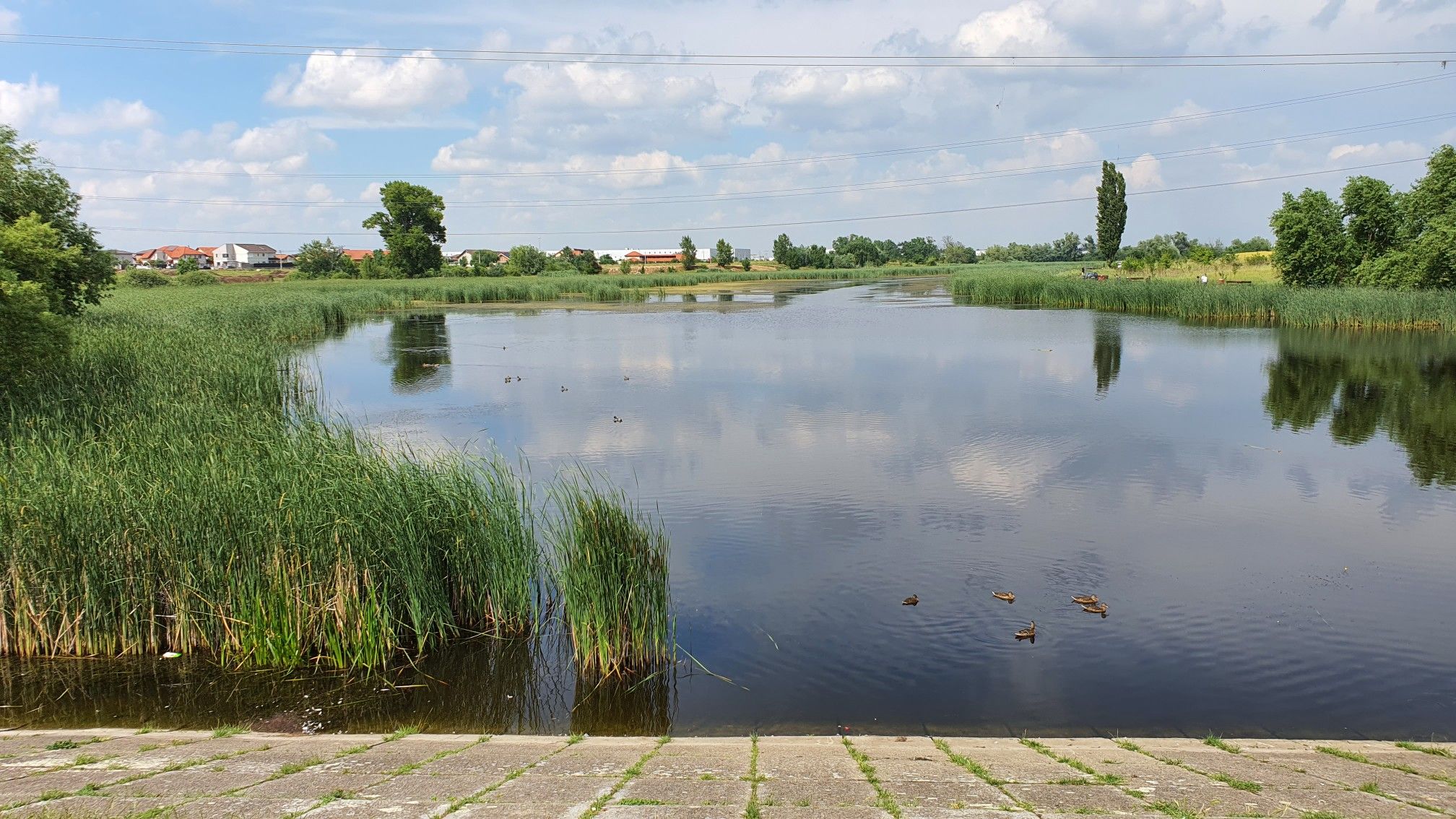 lac 