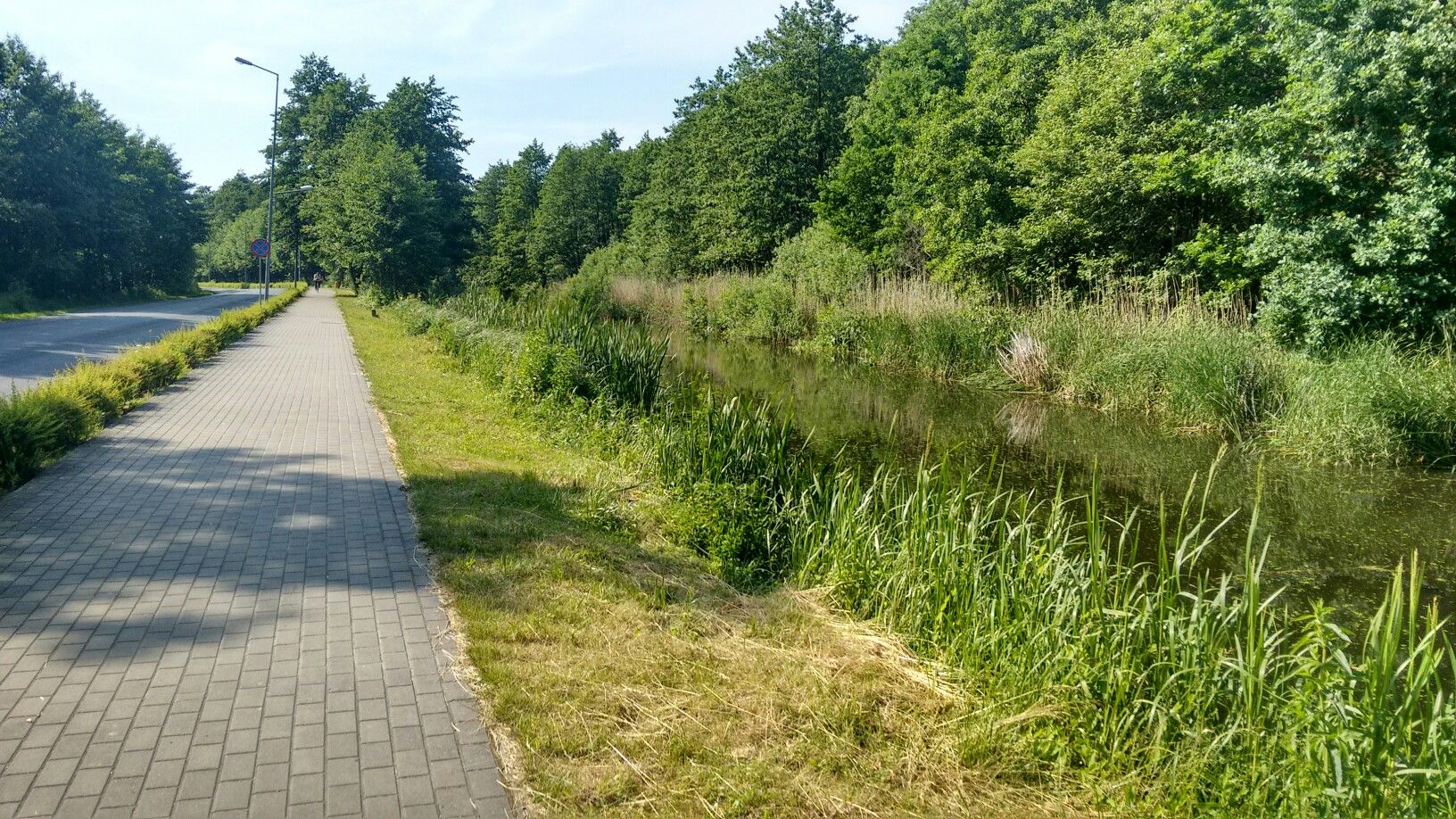 weg am Fluss entlang
