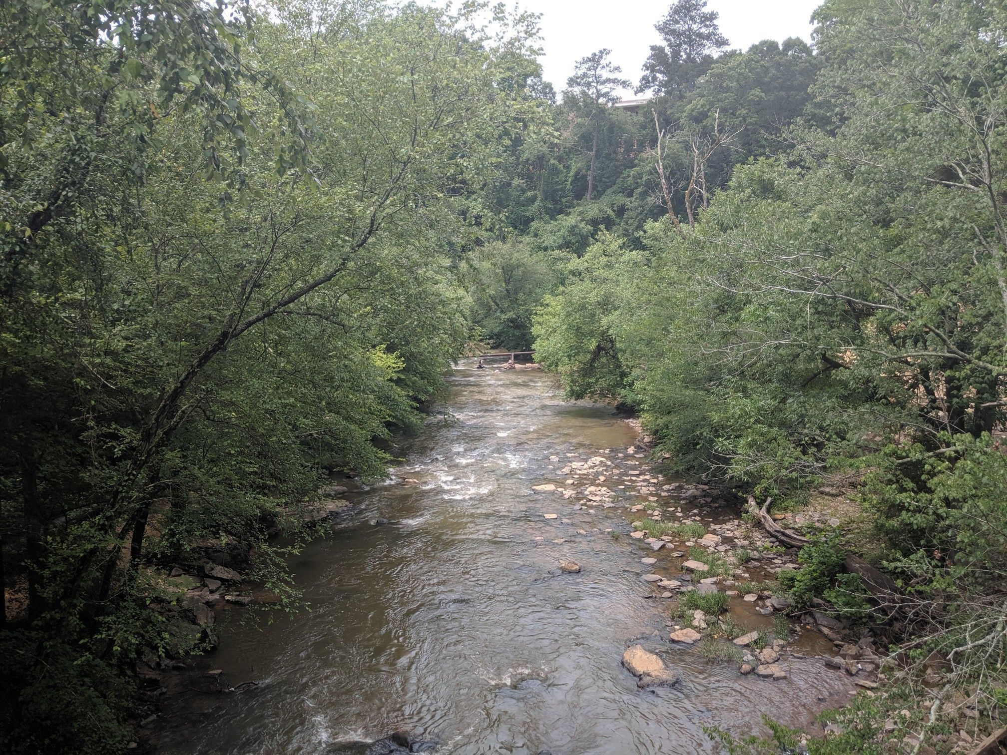 A rocky river flows through a lush green forest on an overcast day. - Picnic & BBQ Area at Old Mill Park – Roswell Mill Dam loop from Roswell