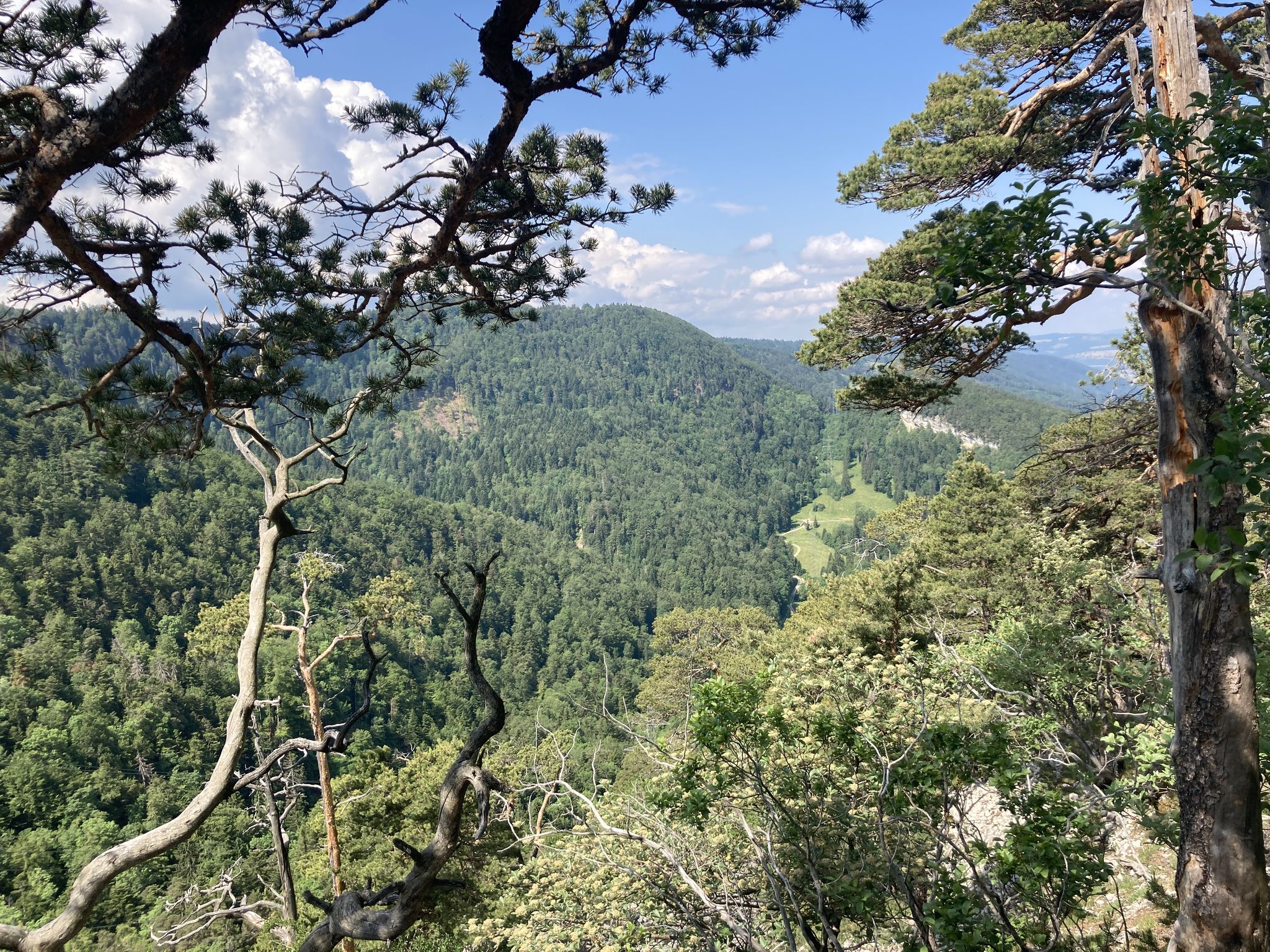 Aussicht von der Grand Côte...