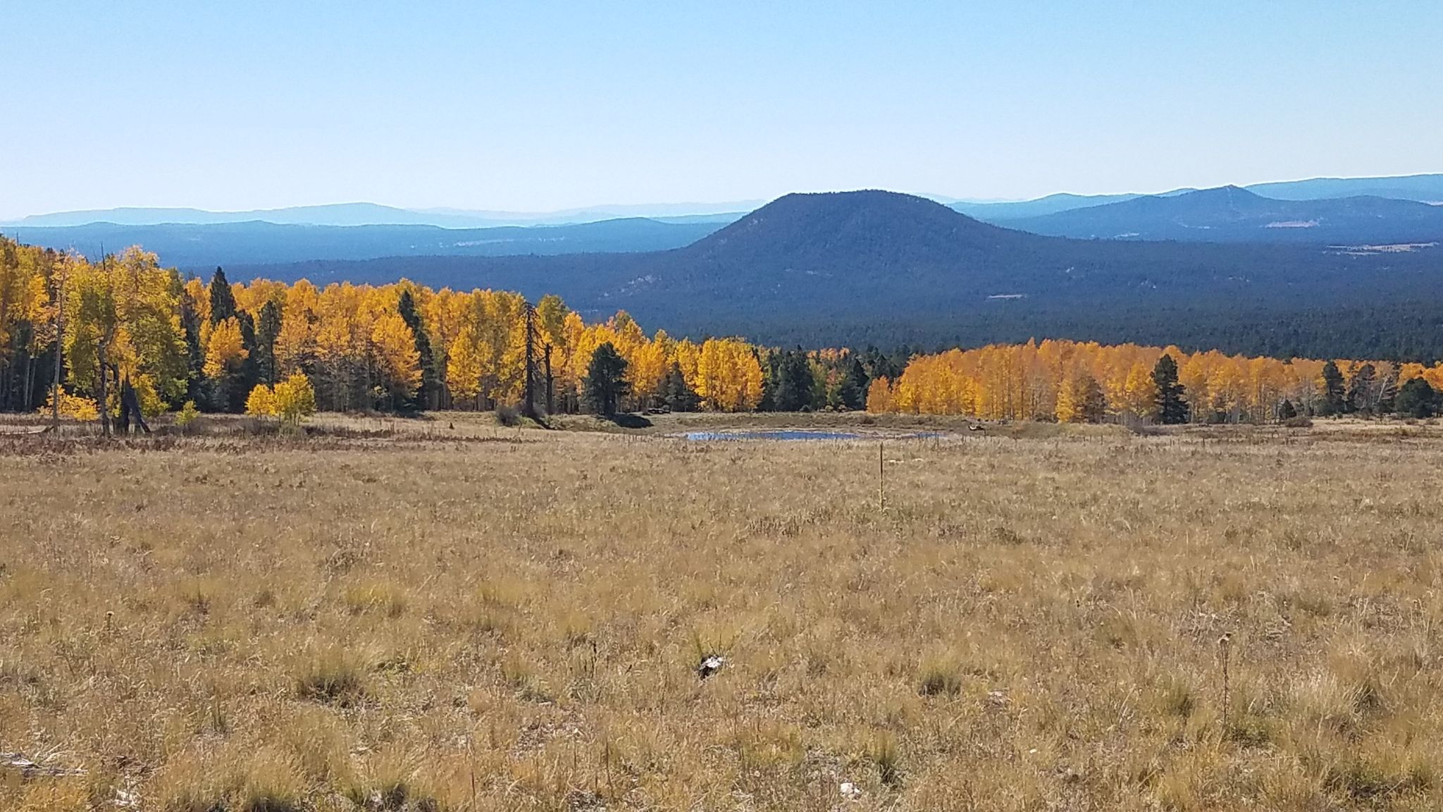 Wide grassy field with golden trees, dark mountain under clear sky. - 'Round the Peaks Trail