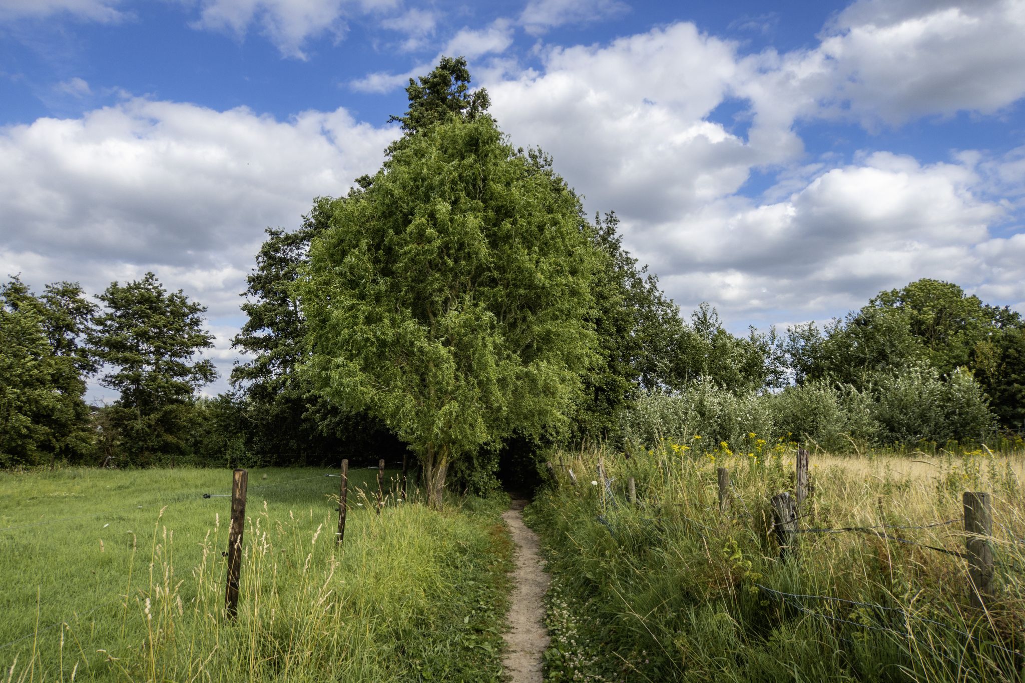 Via de smalle Driebunderwegel naar Wetteren
