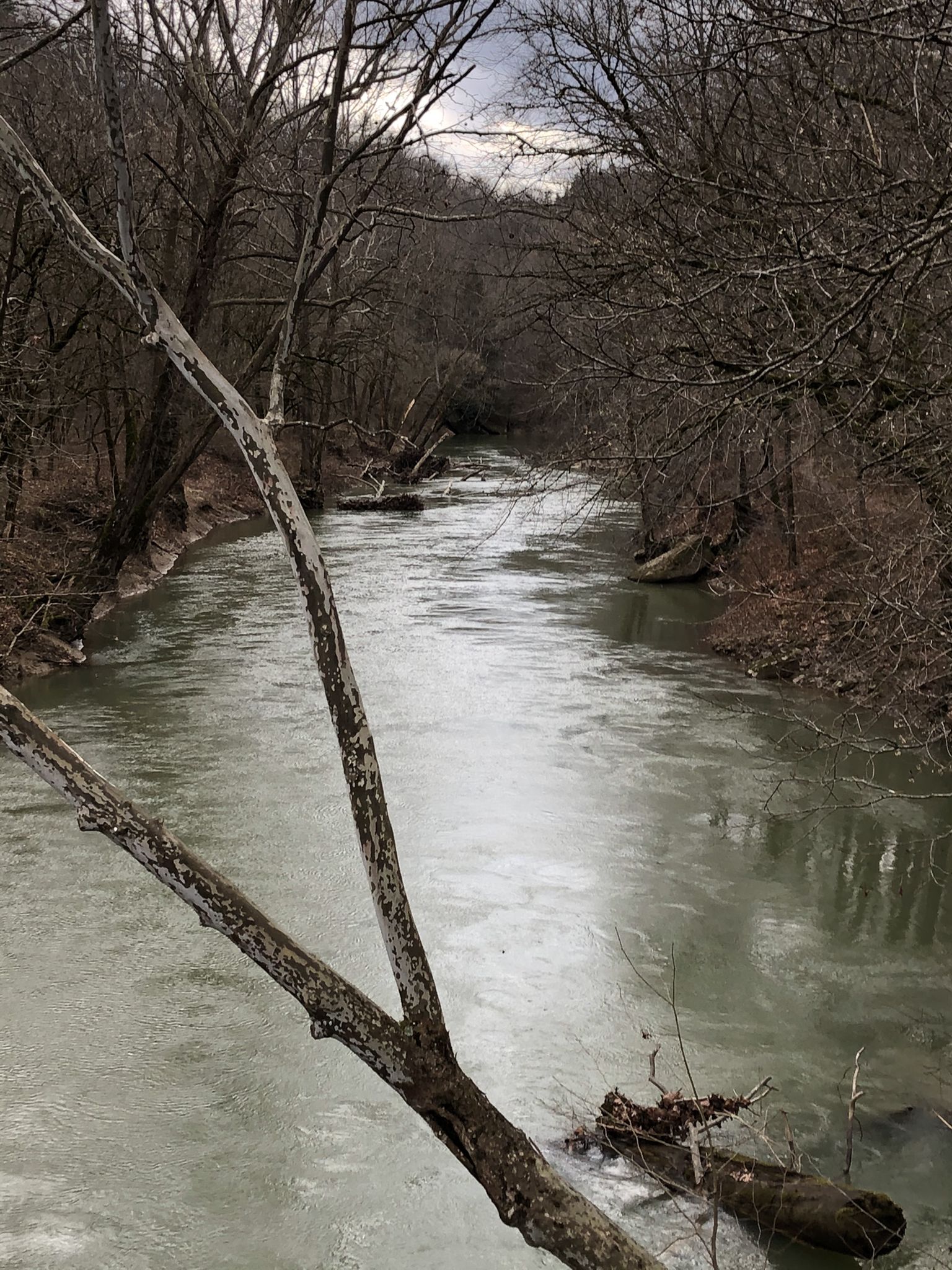 A winding river flows through a bare winter forest under cloudy skies. - Sheltowee Trace NRT Section 13