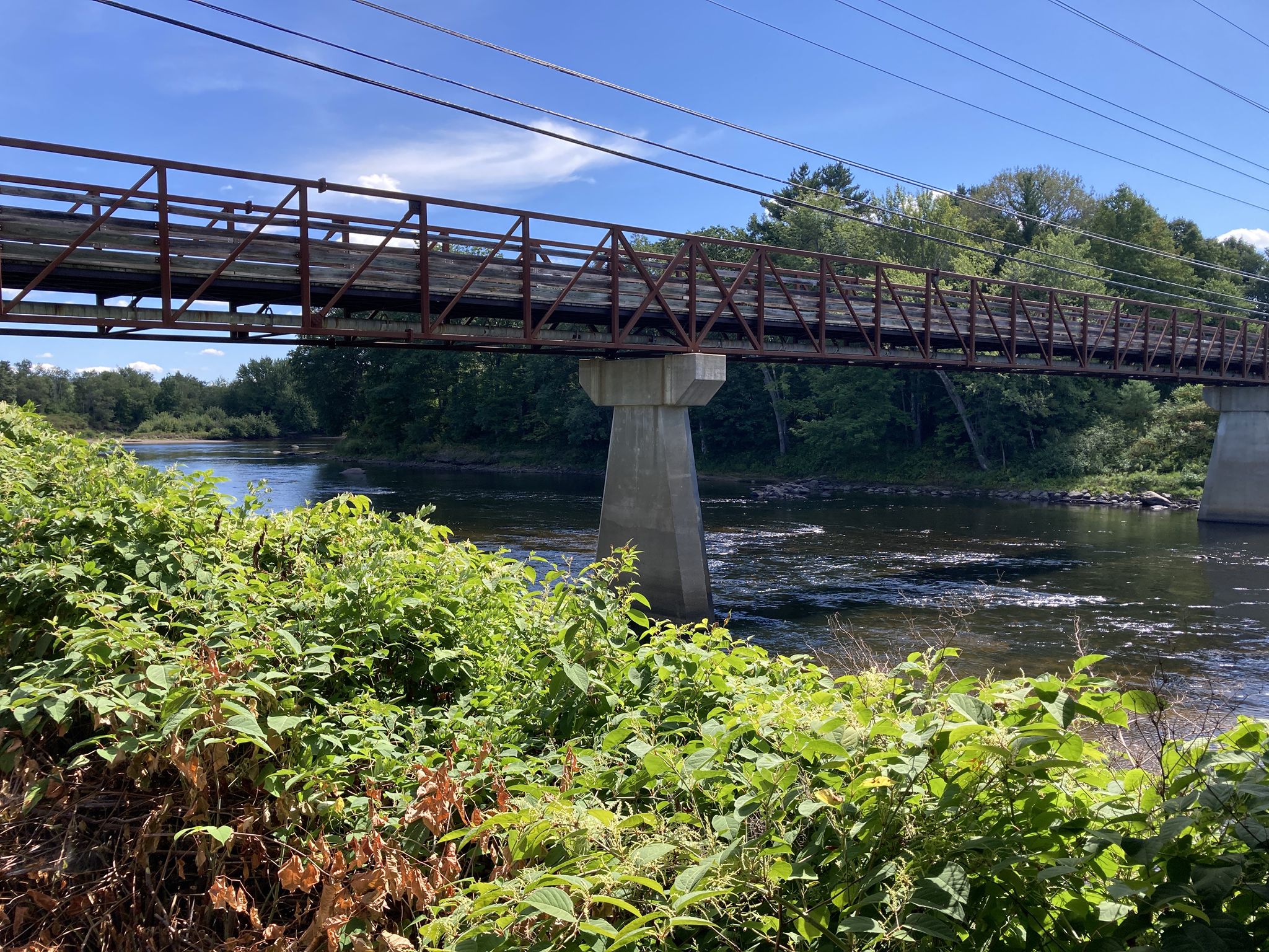 Metal truss bridge spanning a river, with lush green plants foreground. - Bethel Pathway