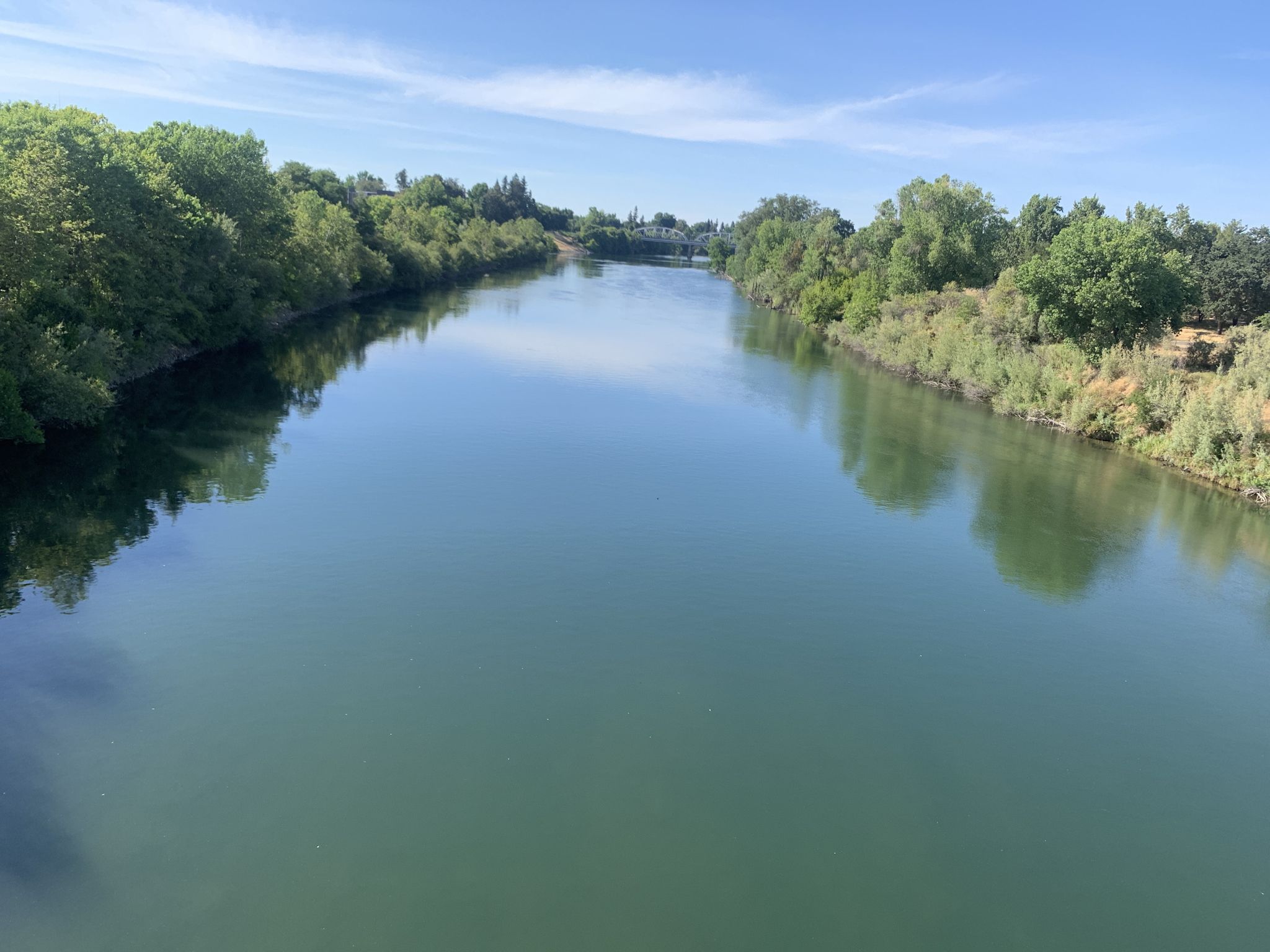 Wide, calm river flows between lush green tree-lined banks, sunny day. - American River Bike Trail Loop