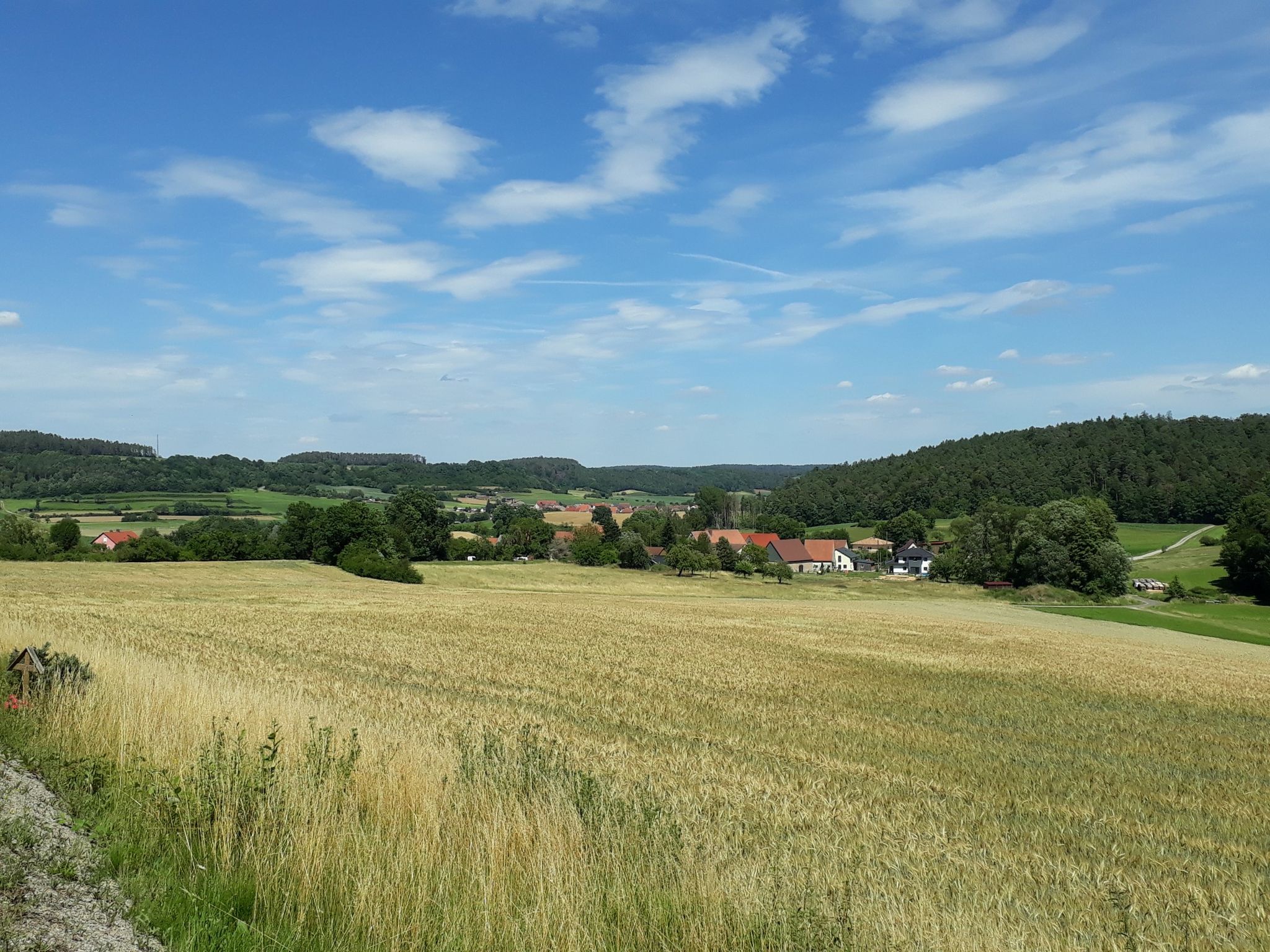 Rosenbirkach