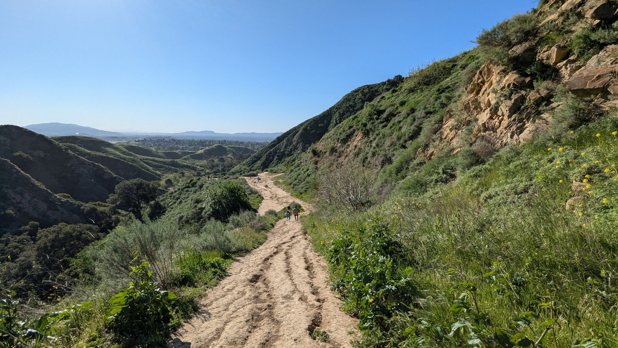 A wide dirt path winding through green, rocky hills under a clear blue sky. - Entrance to O'Melveny Park – View of Mission Point loop from O'Melveny Park