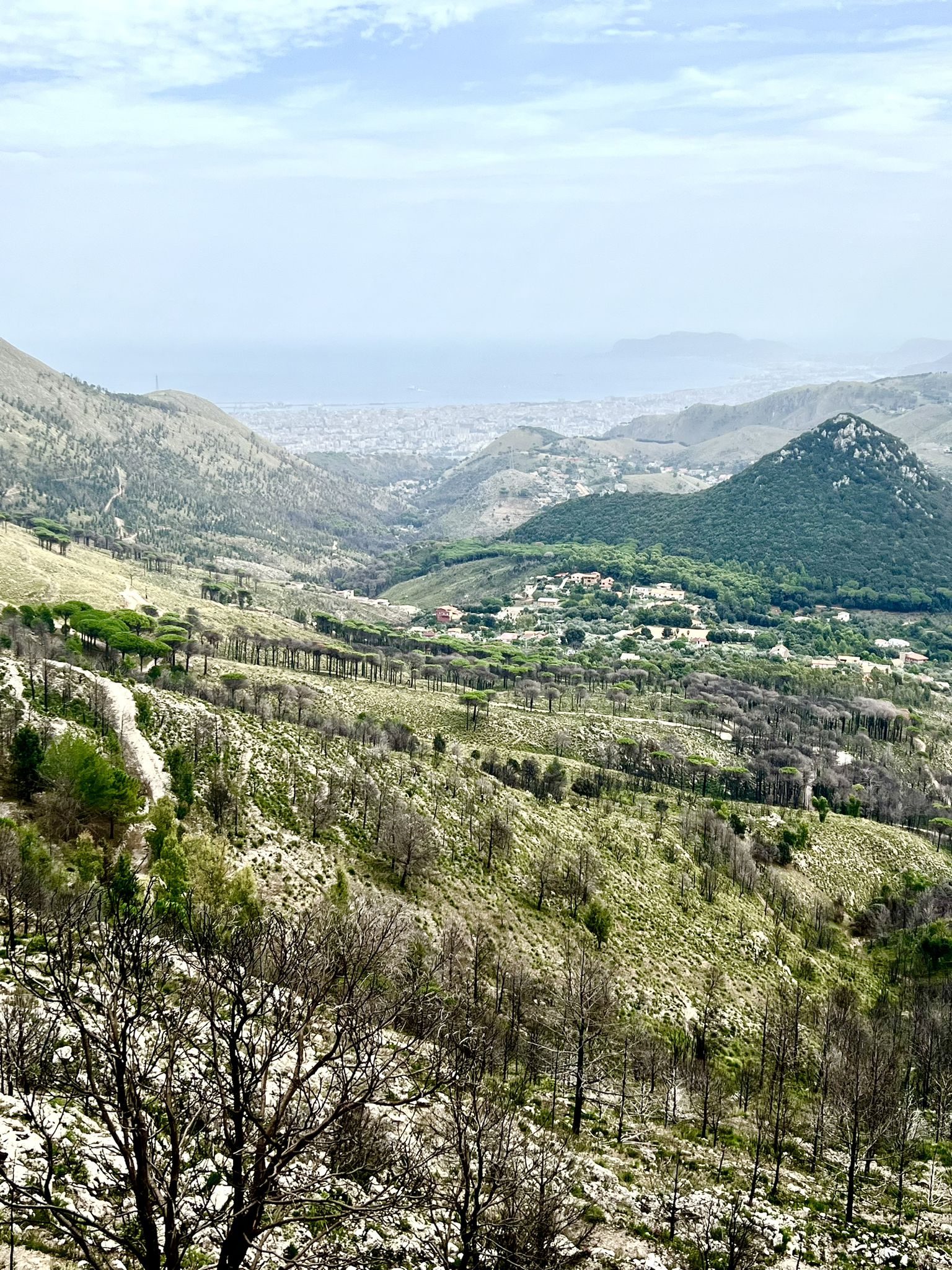 Rückschau auf Palermo