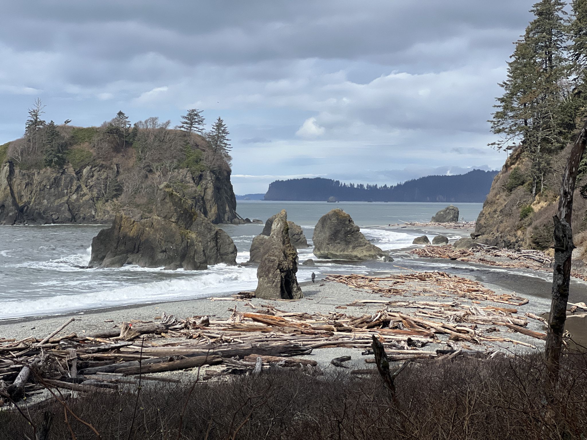 Overcast coastal landscape with sea stacks, driftwood-covered beach, and distant person. - Ruby Beach