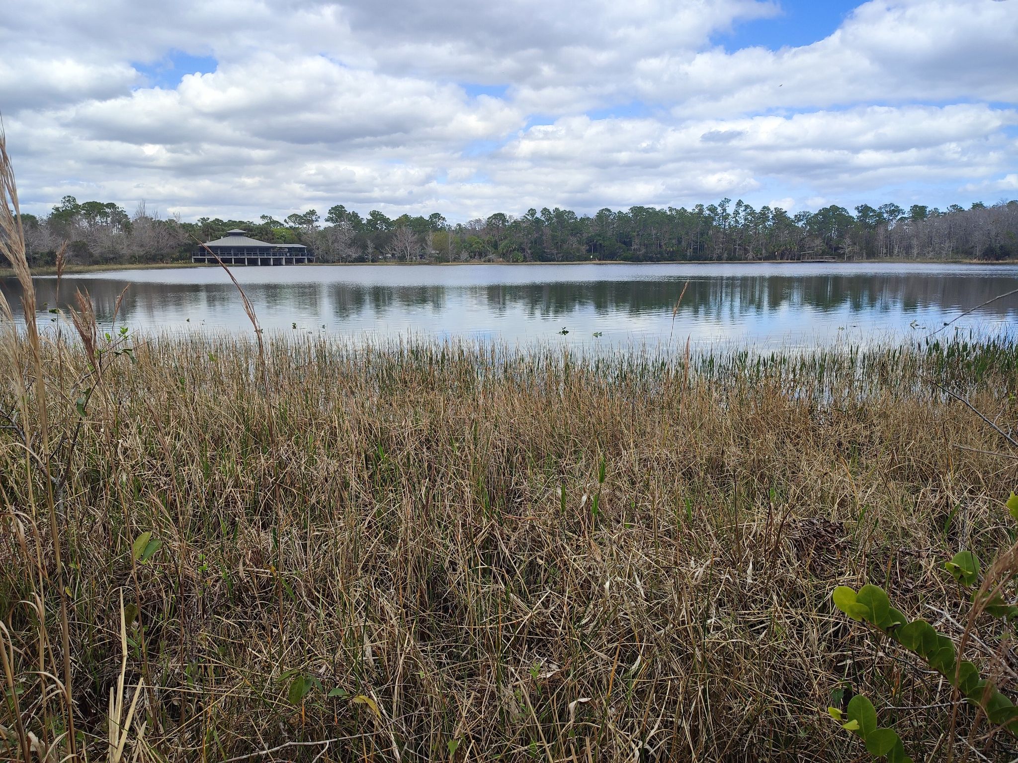 Wide lake view with distant building, tall grass, and cloudy sky. - Hog Hammock, Promontory, and Eagle Trail Loop