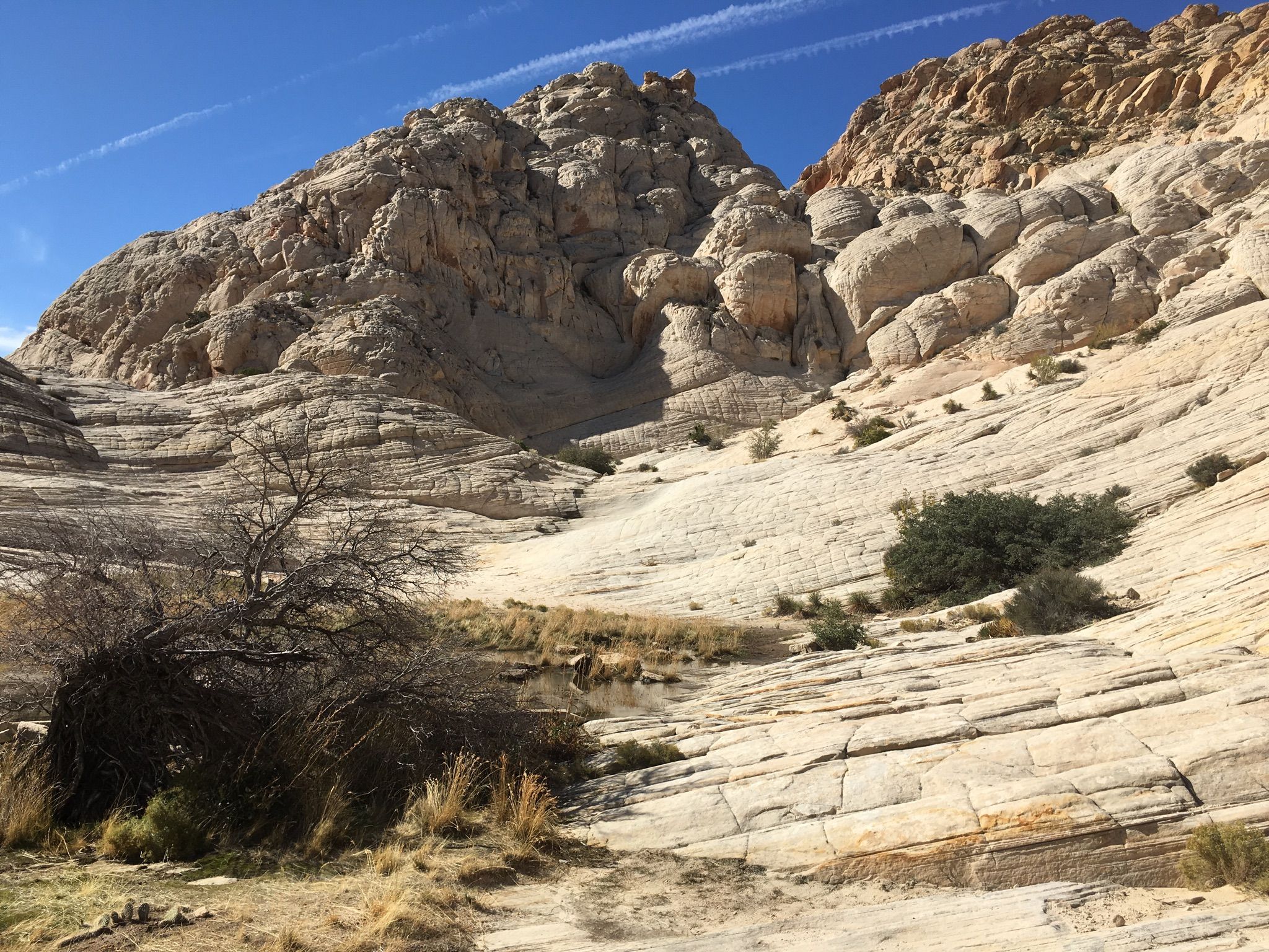 Sunny desert landscape with layered rock formations and sparse bushes under blue sky. - Whiterocks Amphitheater Trail