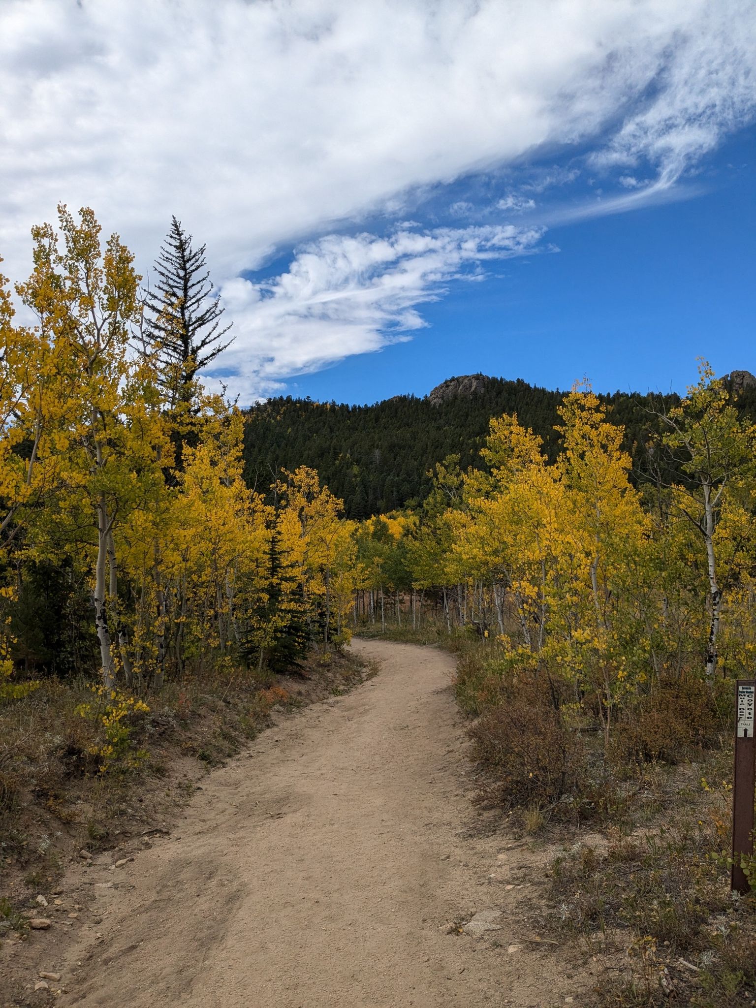 A dirt path winds through golden aspen trees under a bright, cloudy sky. - Mule Deer Trail
