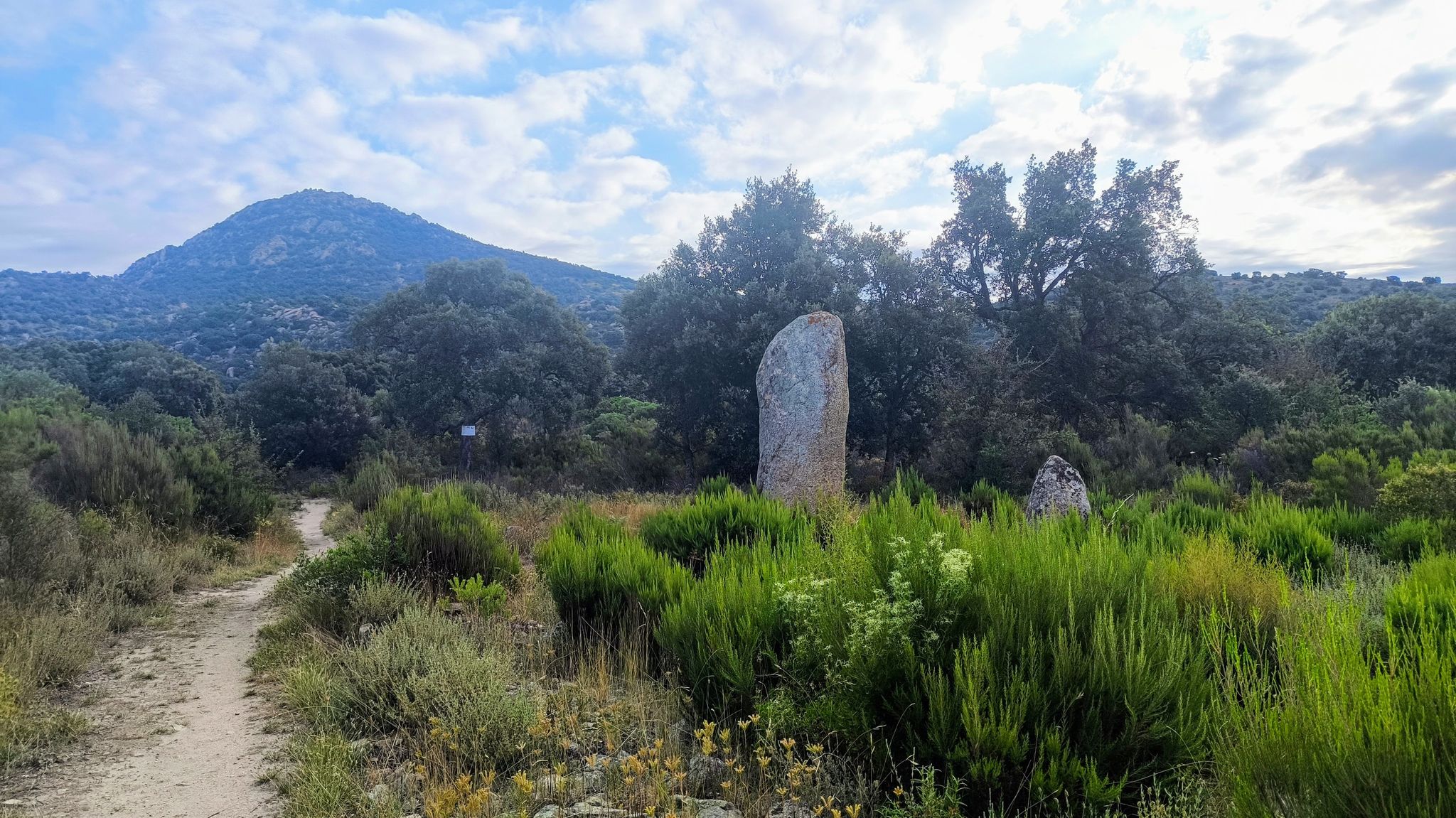 Menhir de la MURTRA