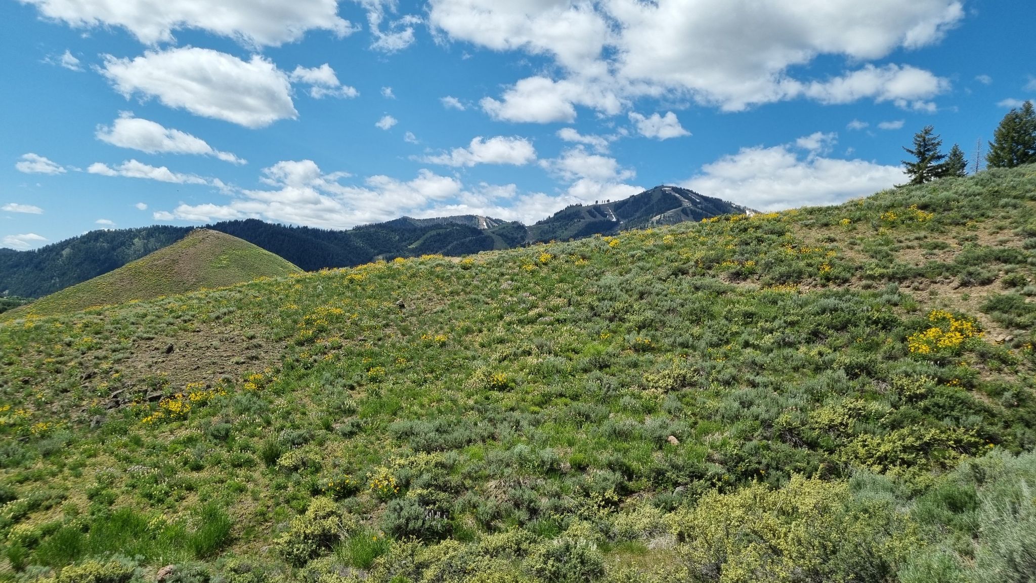 Rolling green and dry hills under a blue sky with distant mountains. - Hemingway Memorial – White Cloud Nine loop from Gimlet