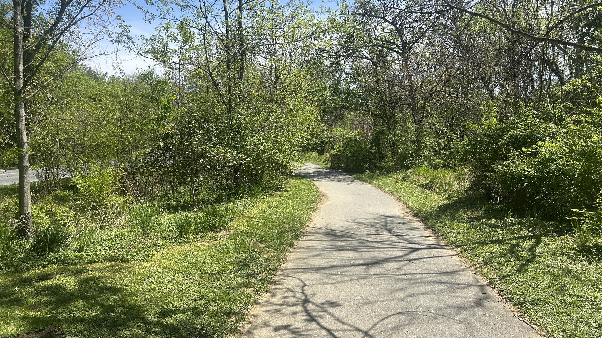 A winding paved path through bright green bushes and trees, sunny. - Rock Creek – Meadowbrook Stables loop from Glenmont