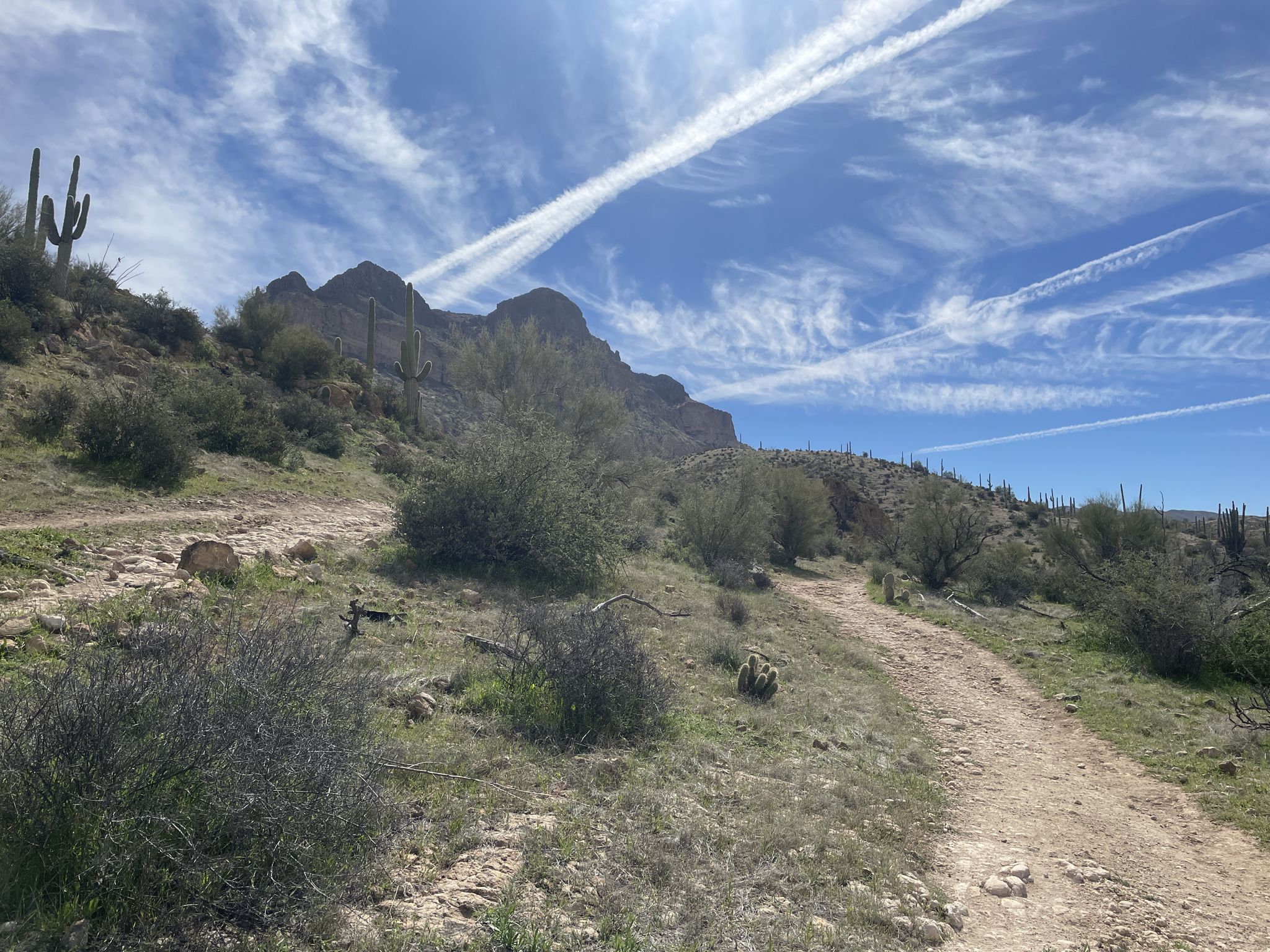 Dirt path winding through desert brush towards rocky hills under a streaky sky. - Picketpost Mountain Trail
