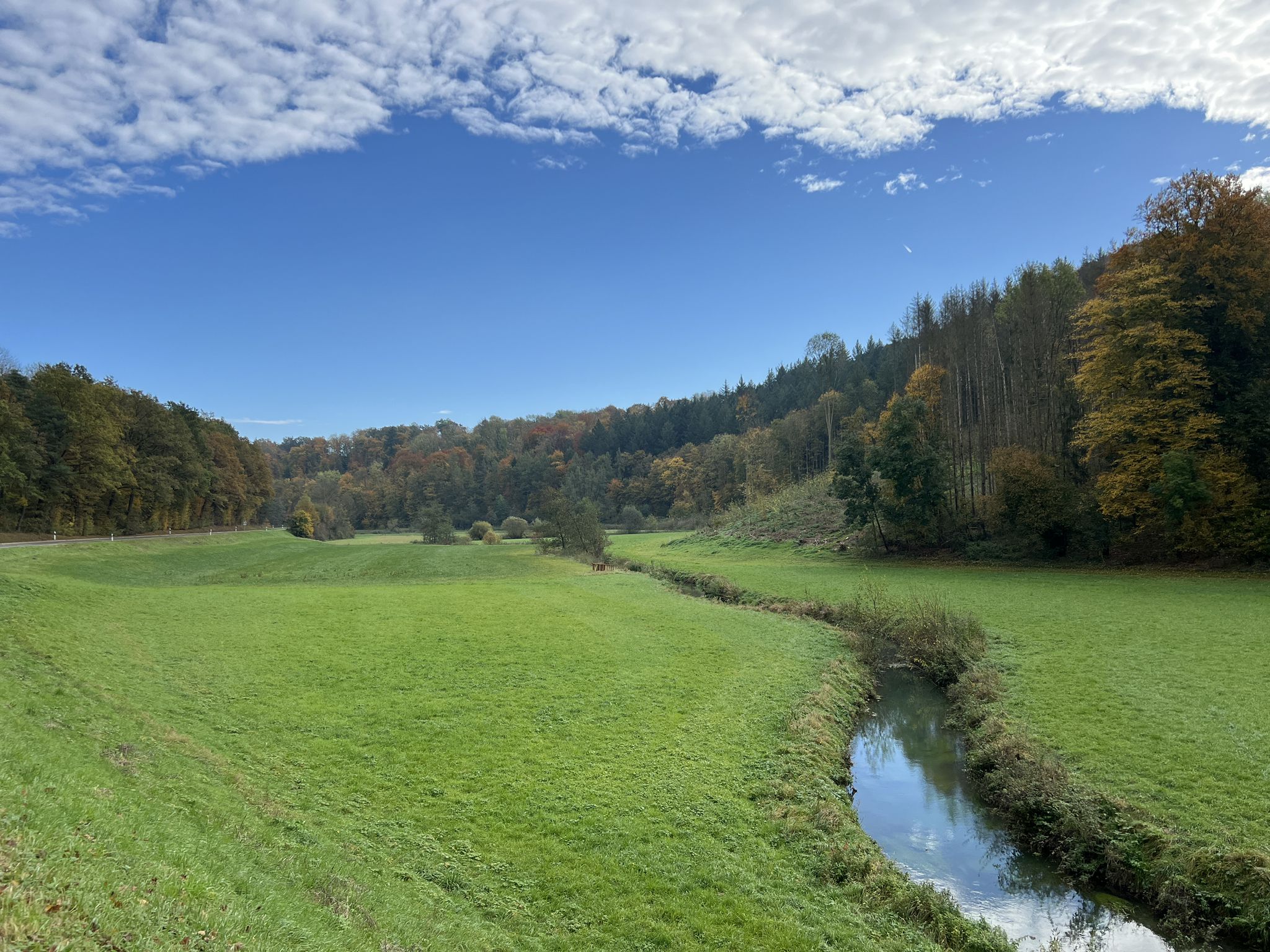 Erlenbachtal