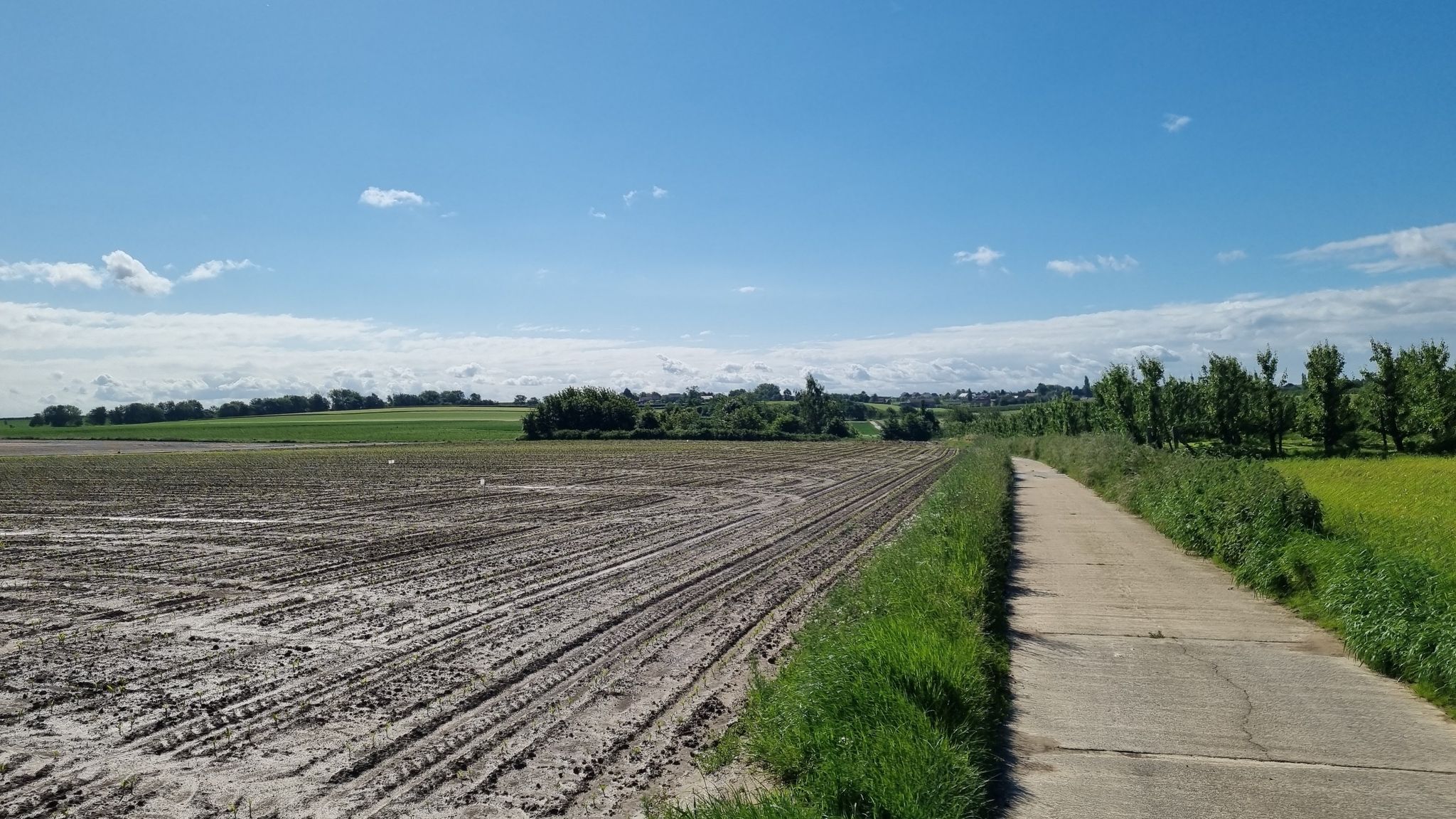 Open landbouwvlakte tussen Mielen en Boekhout