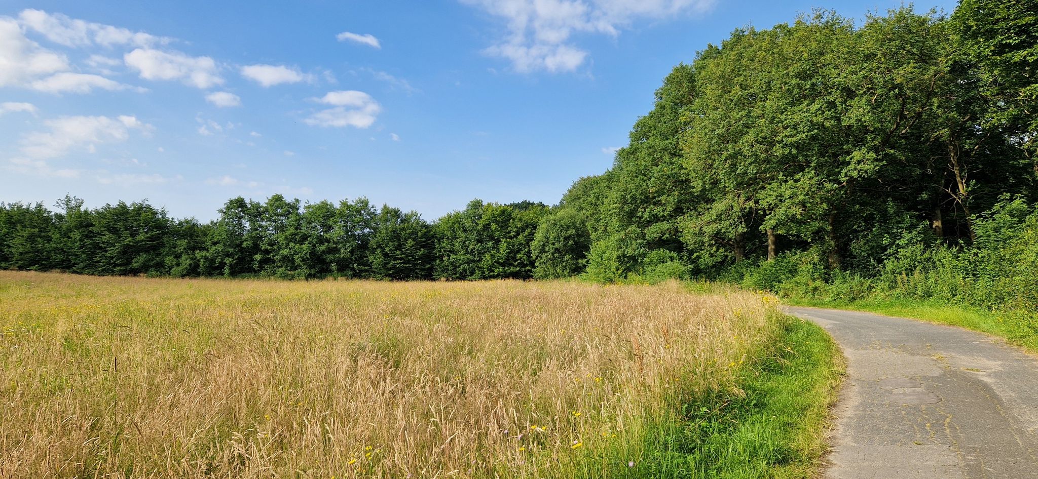 Badendorf - Eckhorst