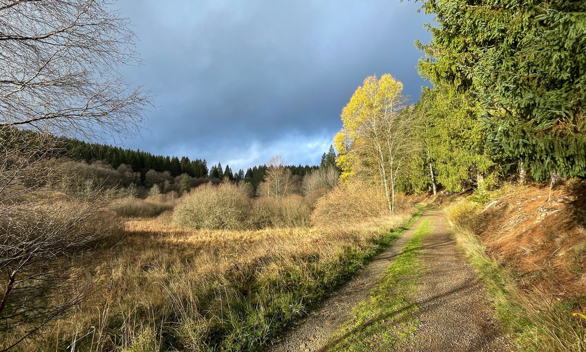 De zon breekt door