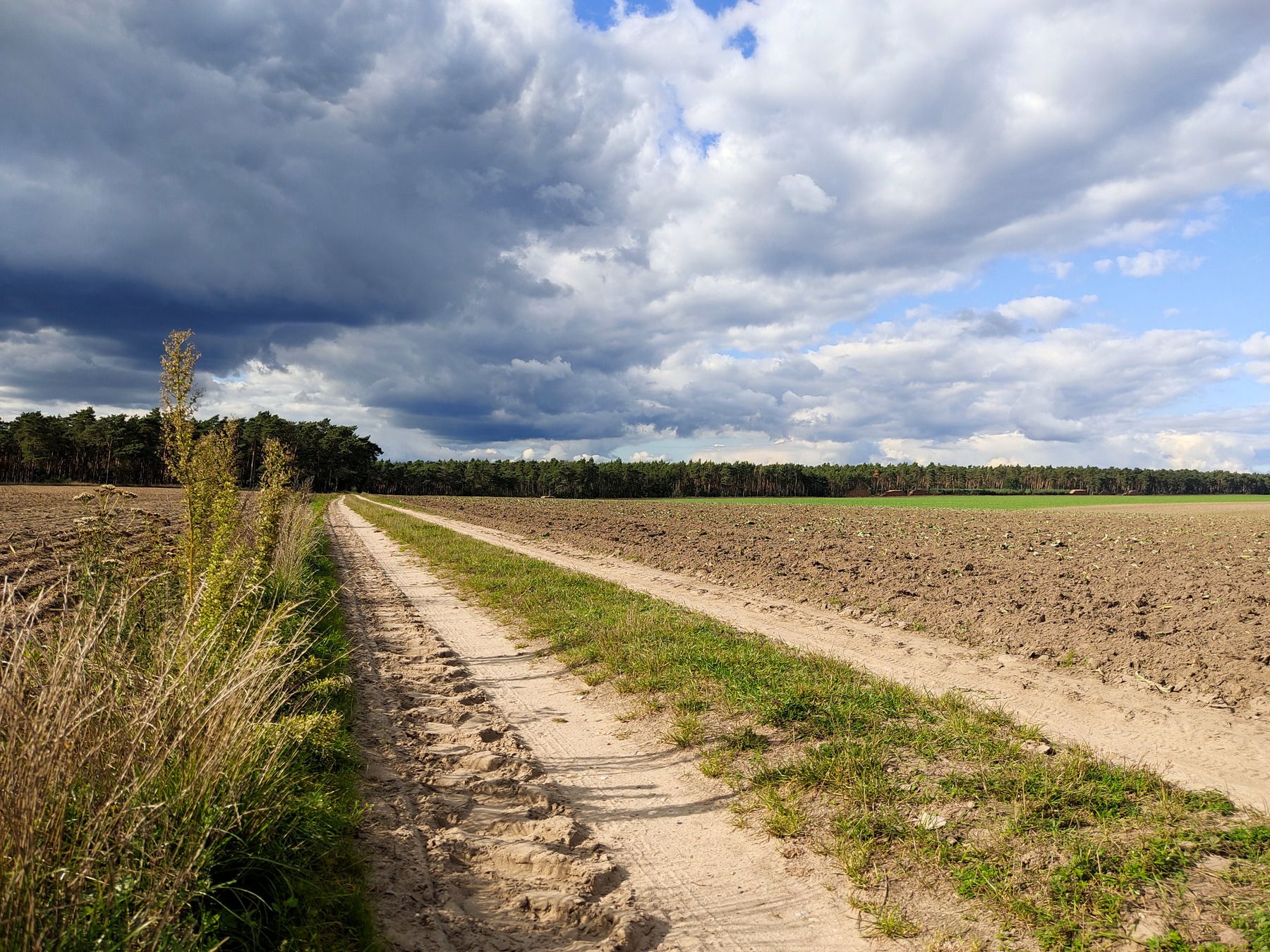 Feldweg