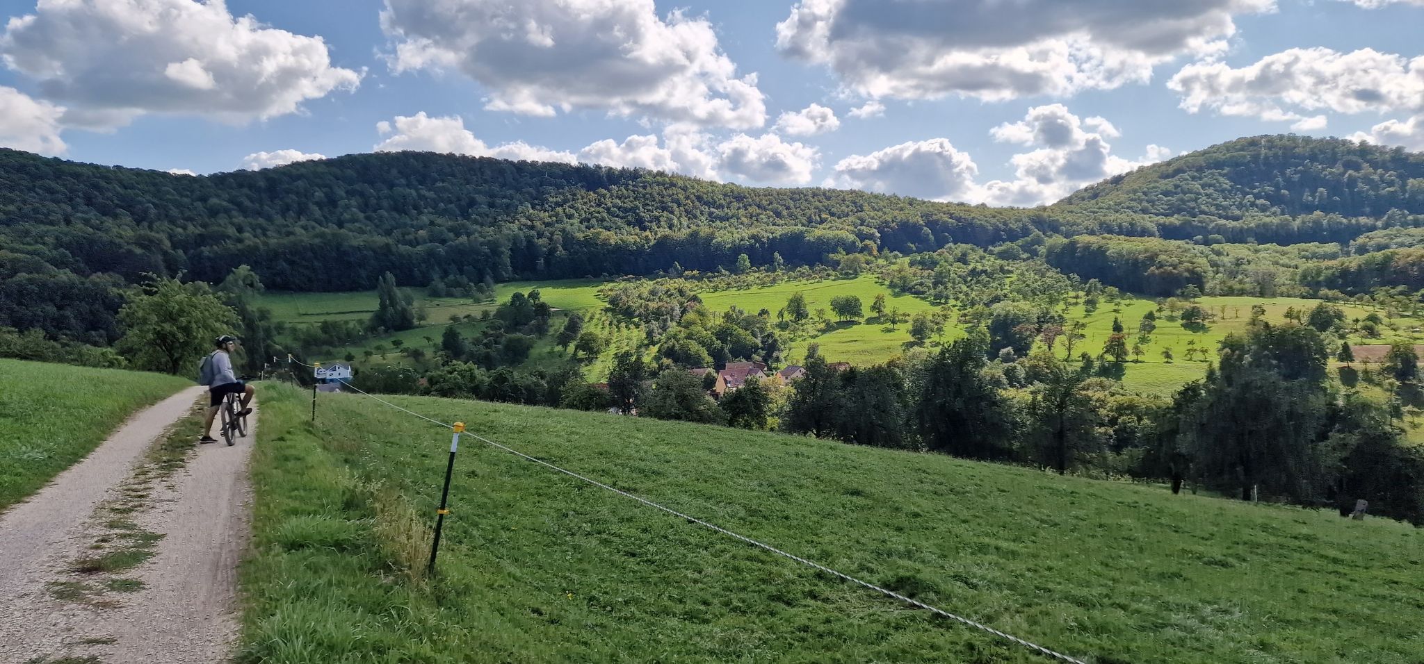 Häringen