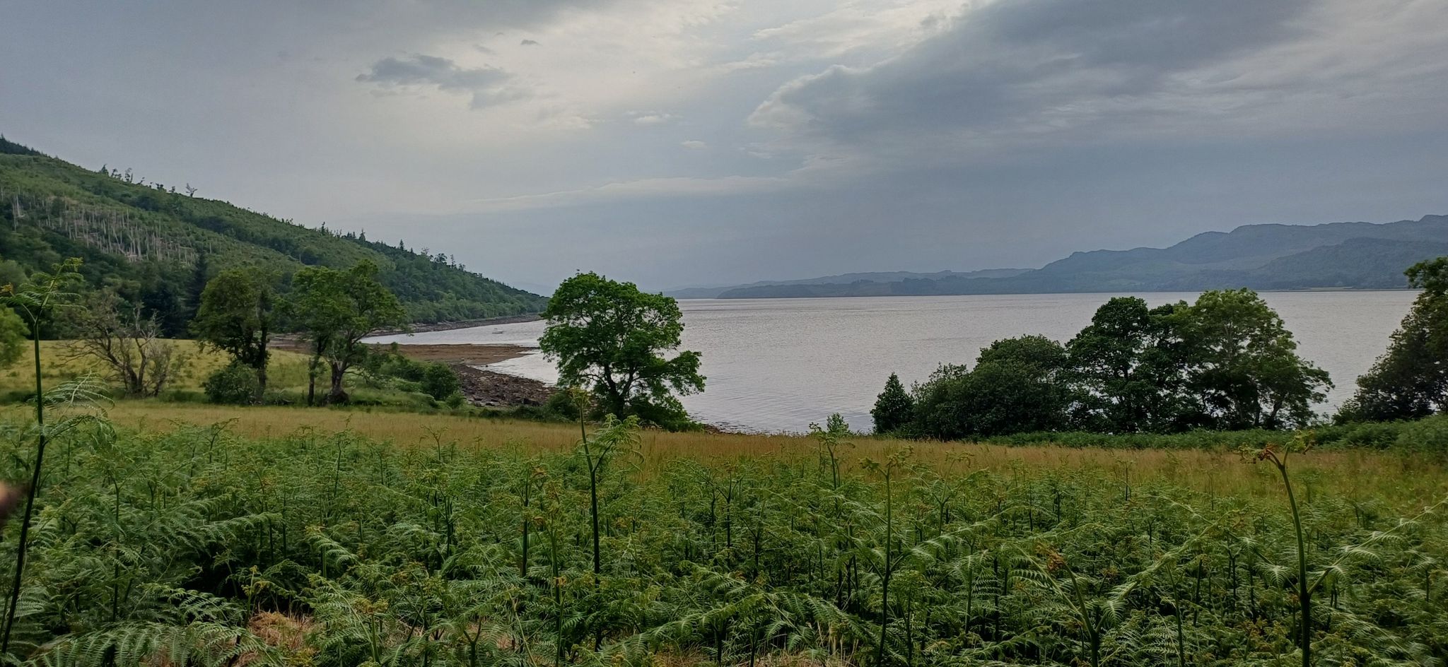 Devine Loch Fyne