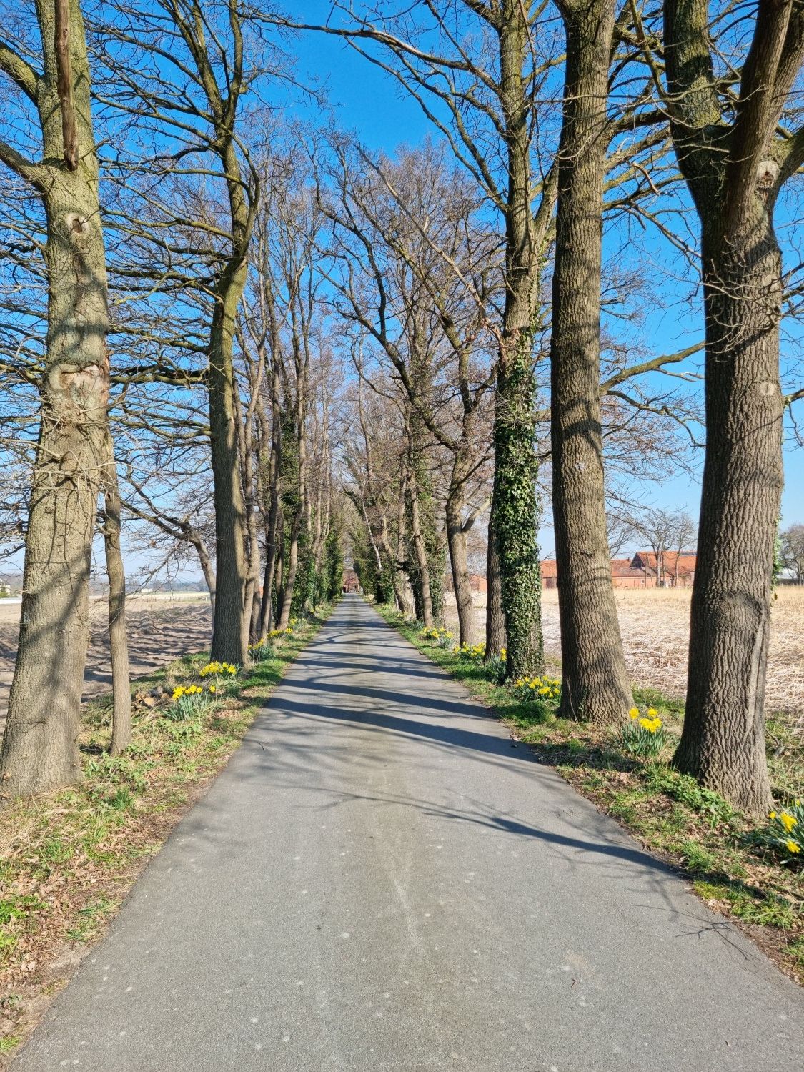 🇺🇦 Frühlingsallee