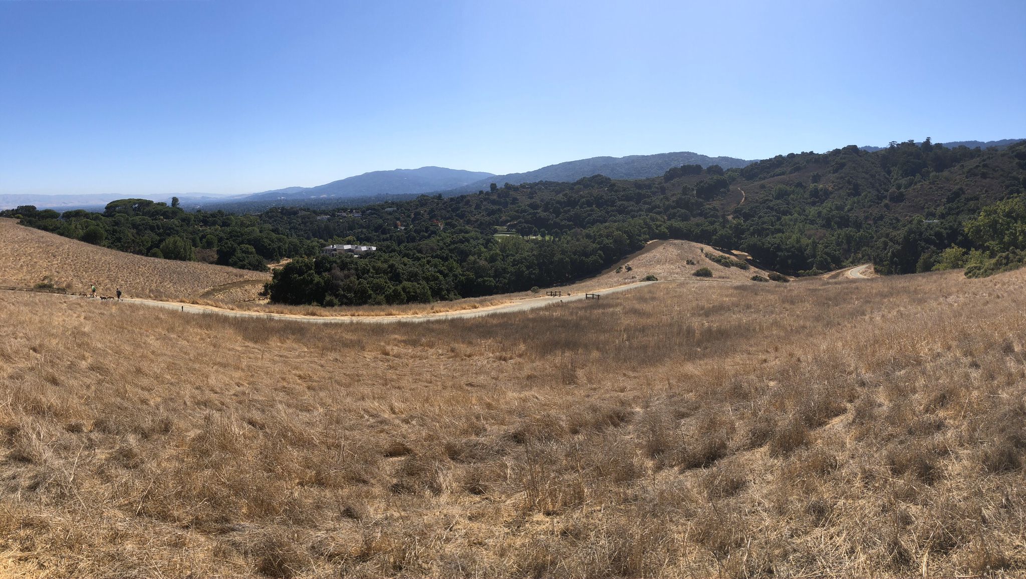 Panoramic view of dry golden hills with a winding path and distant mountains. - Maisie's Peak loop from Regnart School