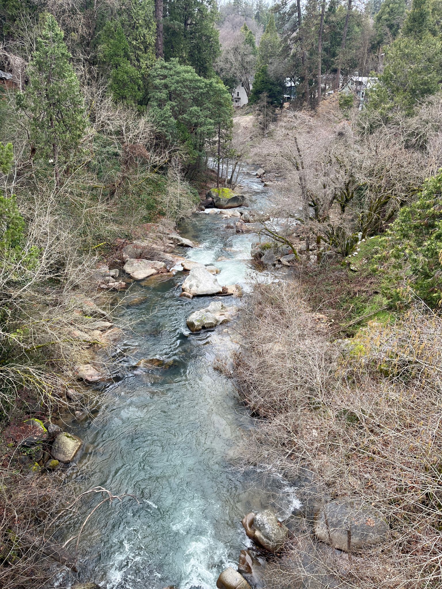A clear river flows over rocks through a dense, bare winter forest. - Scotts Flat Lake loop via Cooper Road - Nevada City