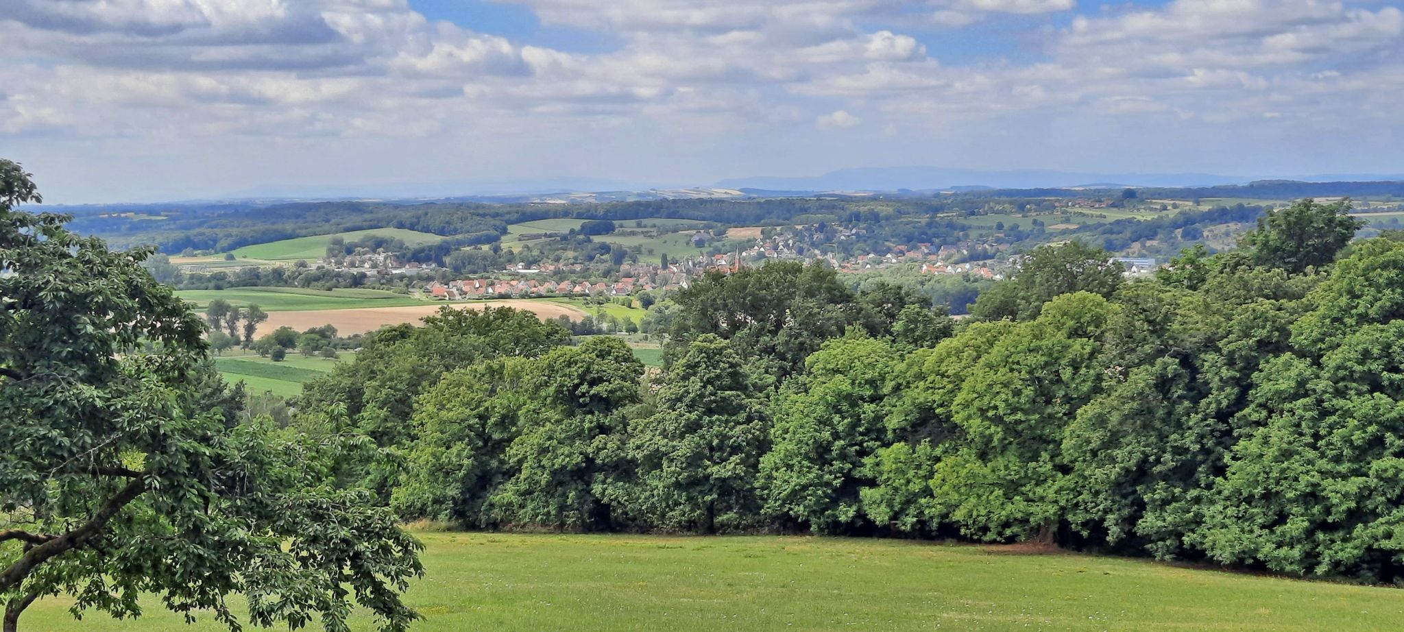 Ausblick vom Liebfrauenberg auf Woerth