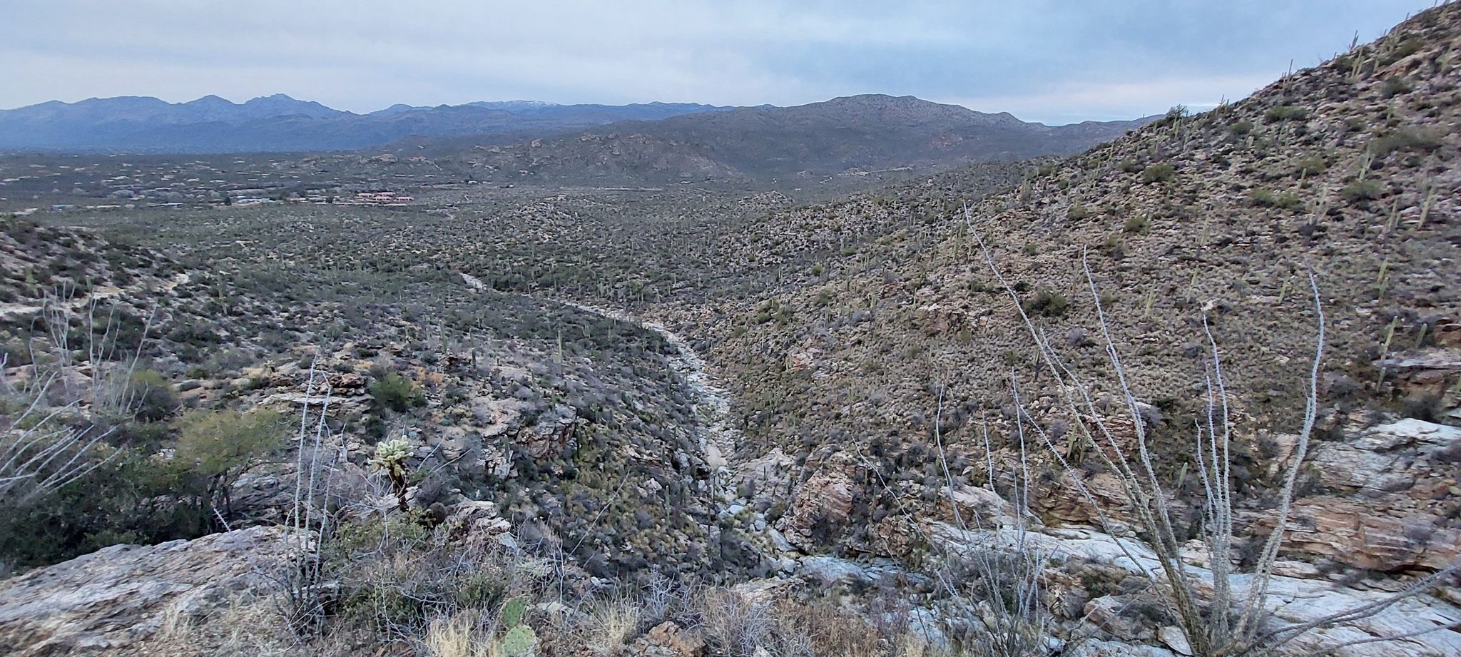 Wide view of a rocky desert canyon with sparse vegetation, cloudy sky. - Douglas Spring Trail loop from Tanque Verde Ranch Cemetery