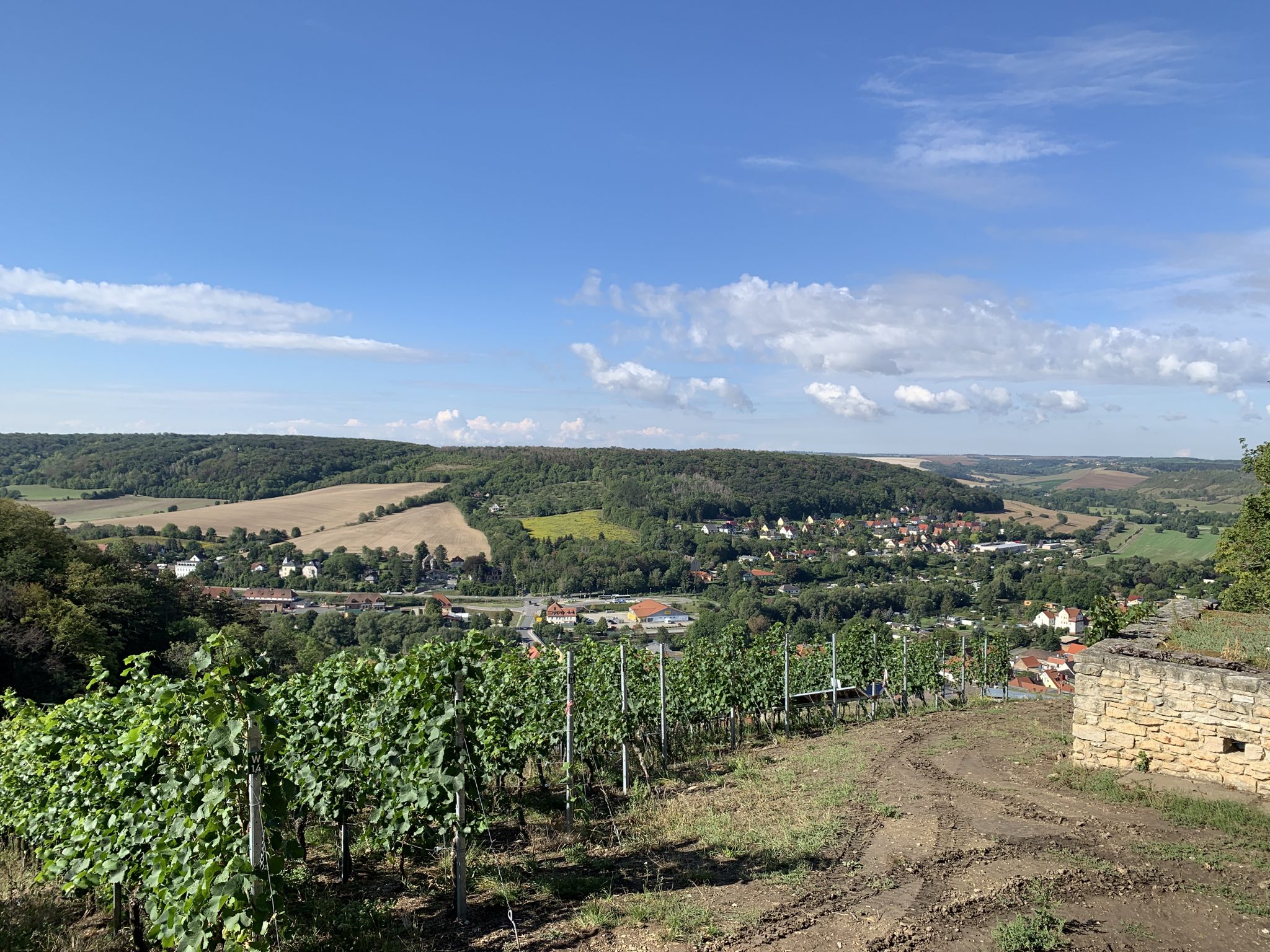 Freyburg Unstrut 