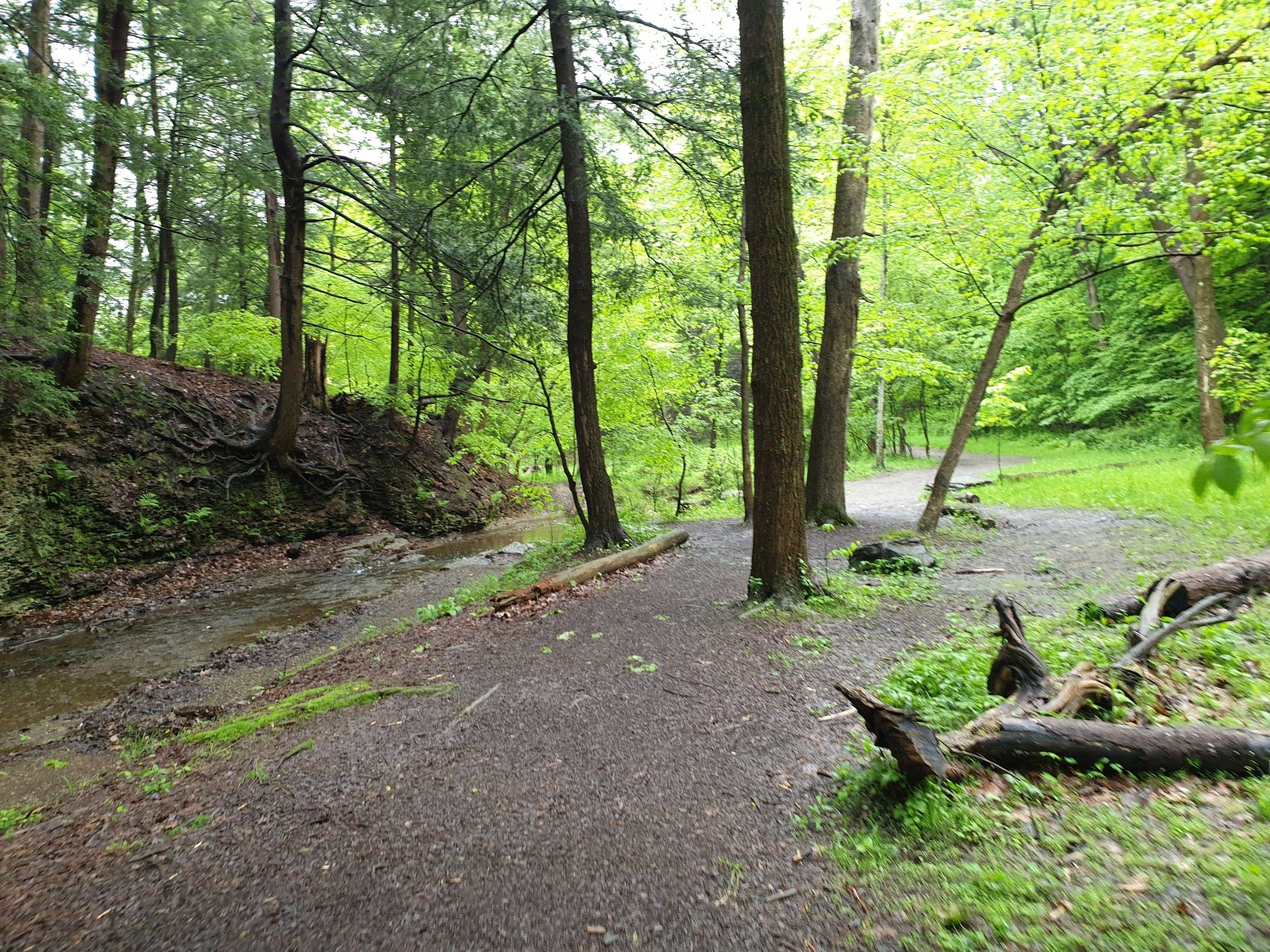 toller Wegam Fluss entlang