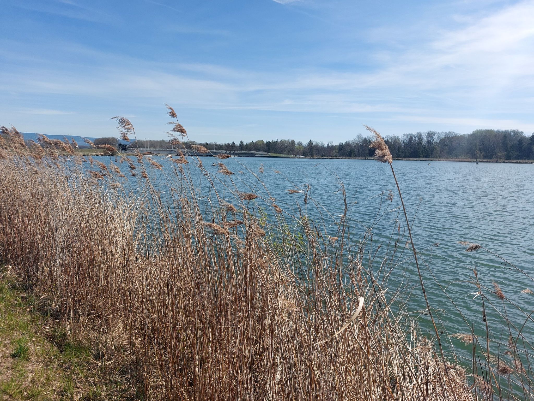 Isar Staustufe Pielweichs