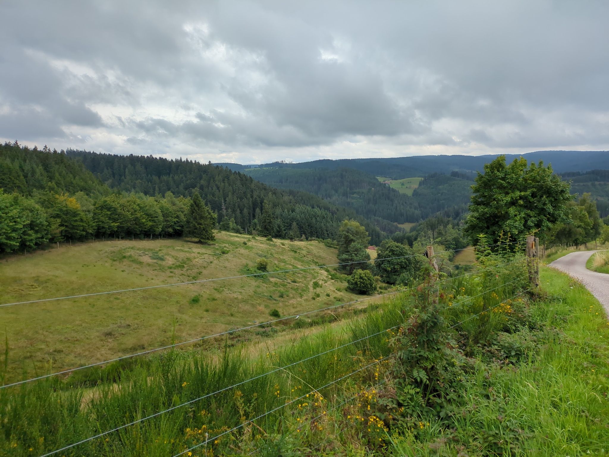 Schwarzwald Höhe
