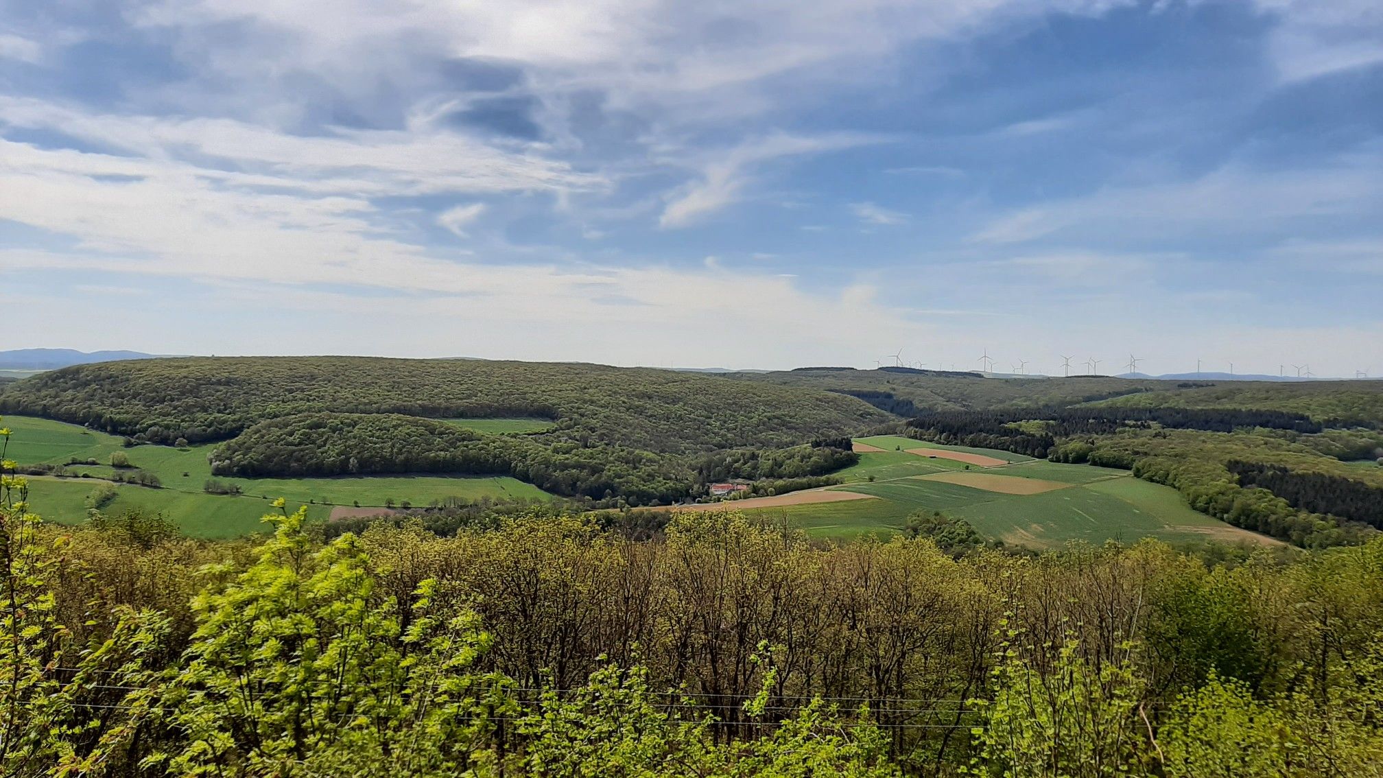 Montfortblick