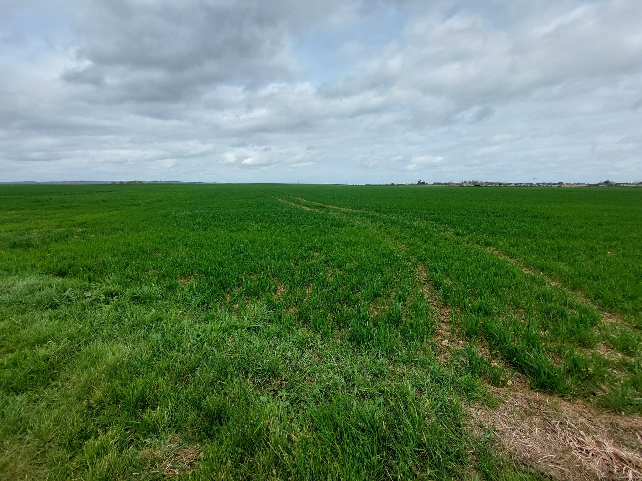 Na Chartres komen we in vlakker landbouwgebied zonder bossen