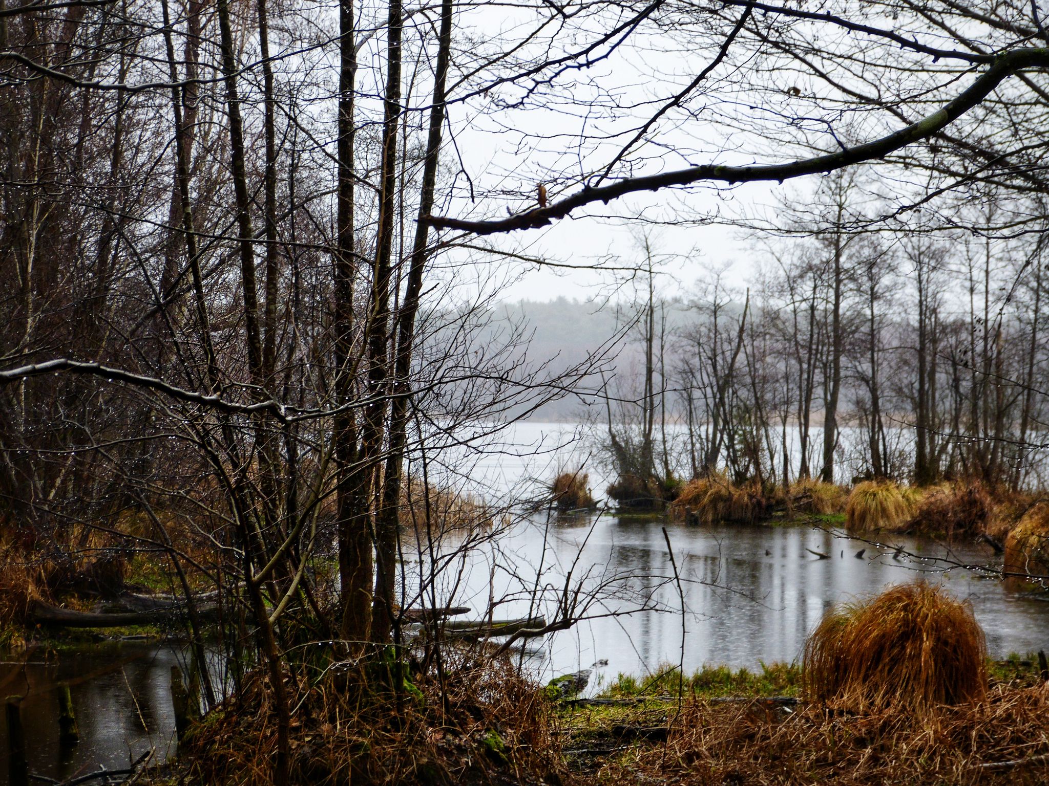 Herrensee