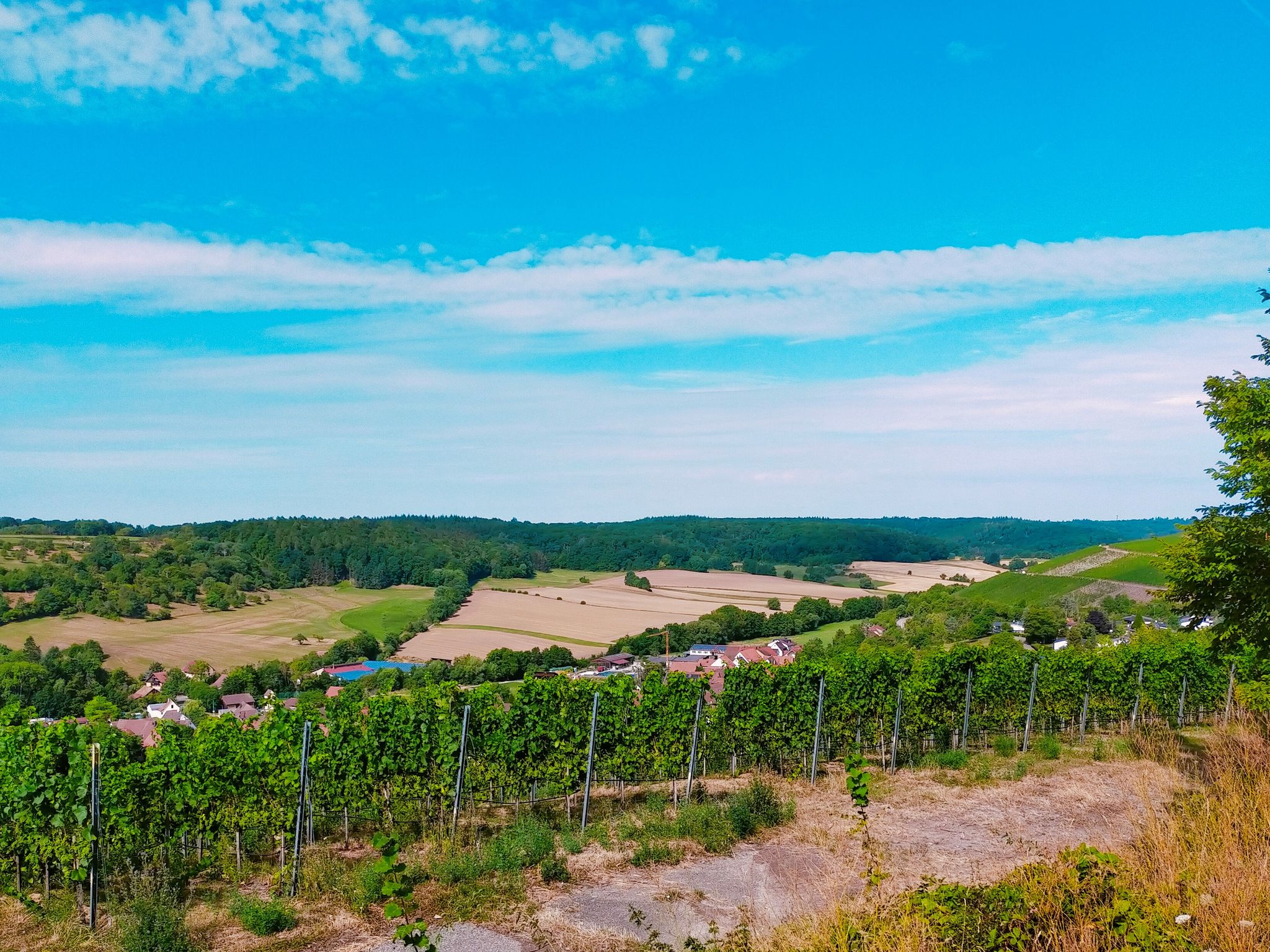 Blick ins Kirbachtal