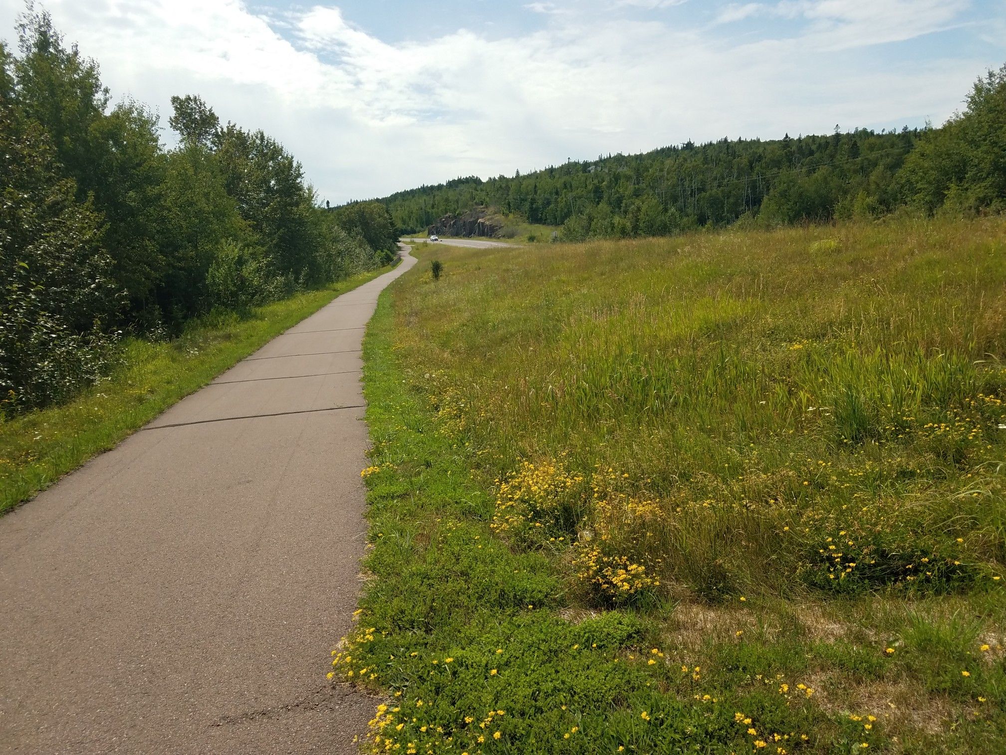 Paved path winding through green grassy fields and distant forests. - Gitchi-Gami State Trail