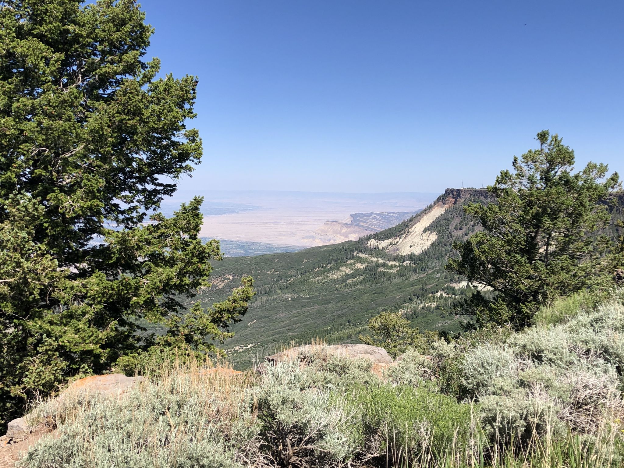 Sunny mountain view with green trees, rocky slopes, and a distant valley. - Deep Creek and Anderson Reservoirs Loop