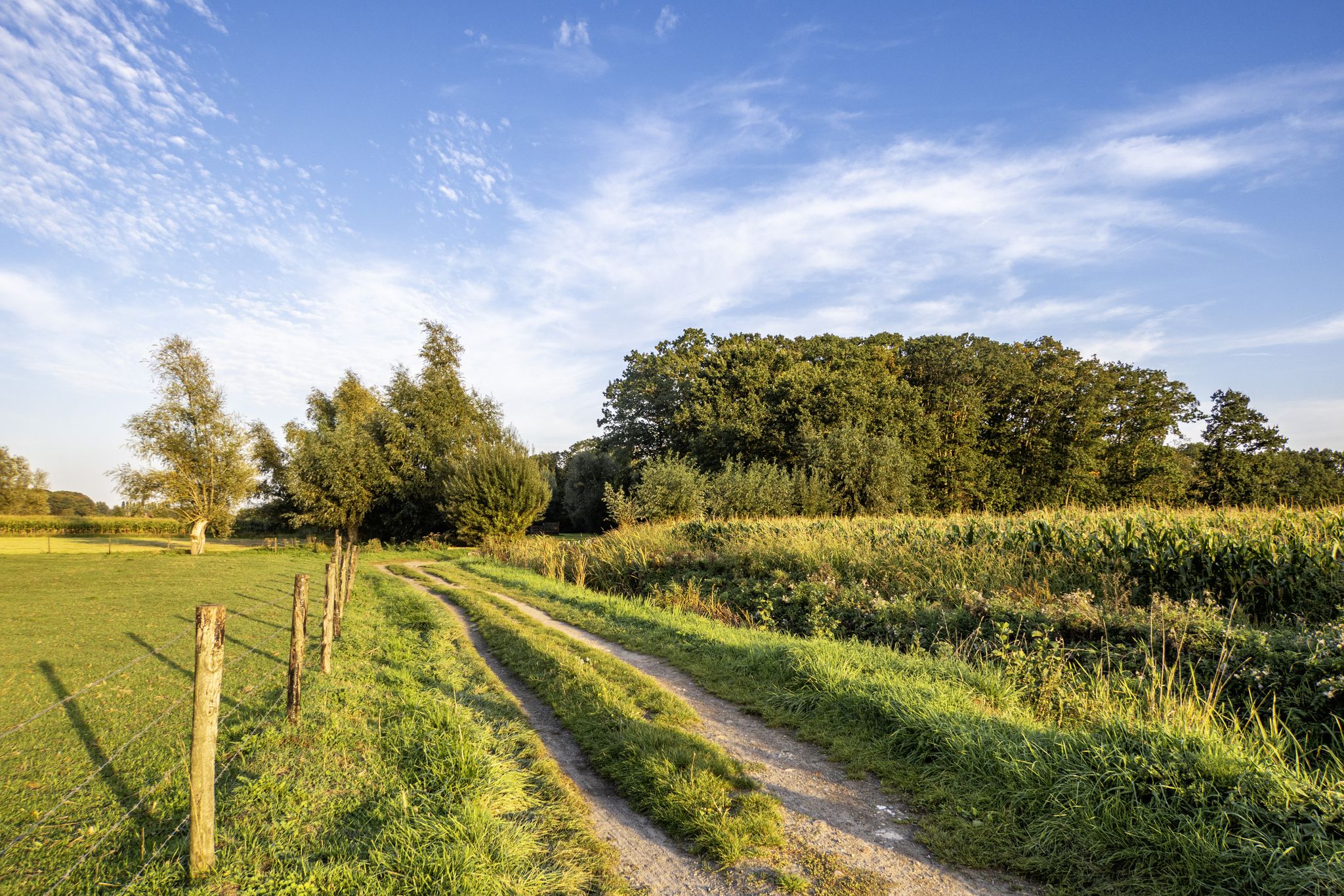Prullenbos, Laarne