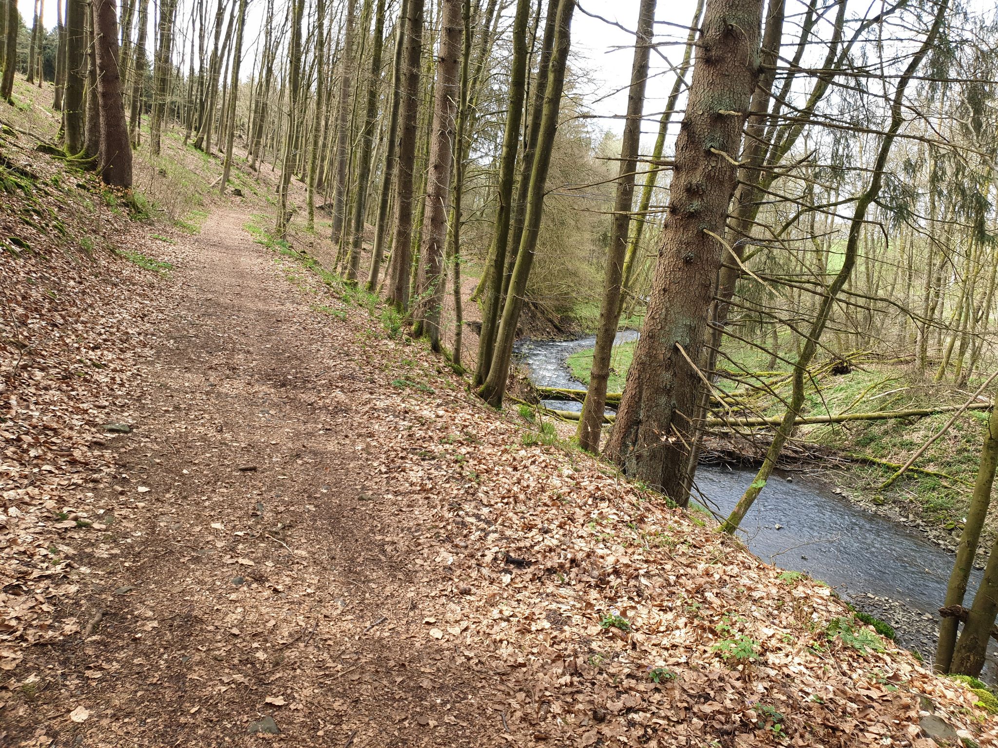 An der Nister