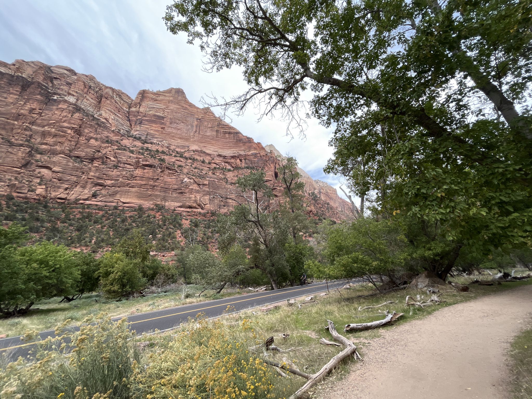 Red rock cliff, road, and green trees under a cloudy sky. - Zion Park Scenic Byway: Hurricane to Mt. Carmel Junction