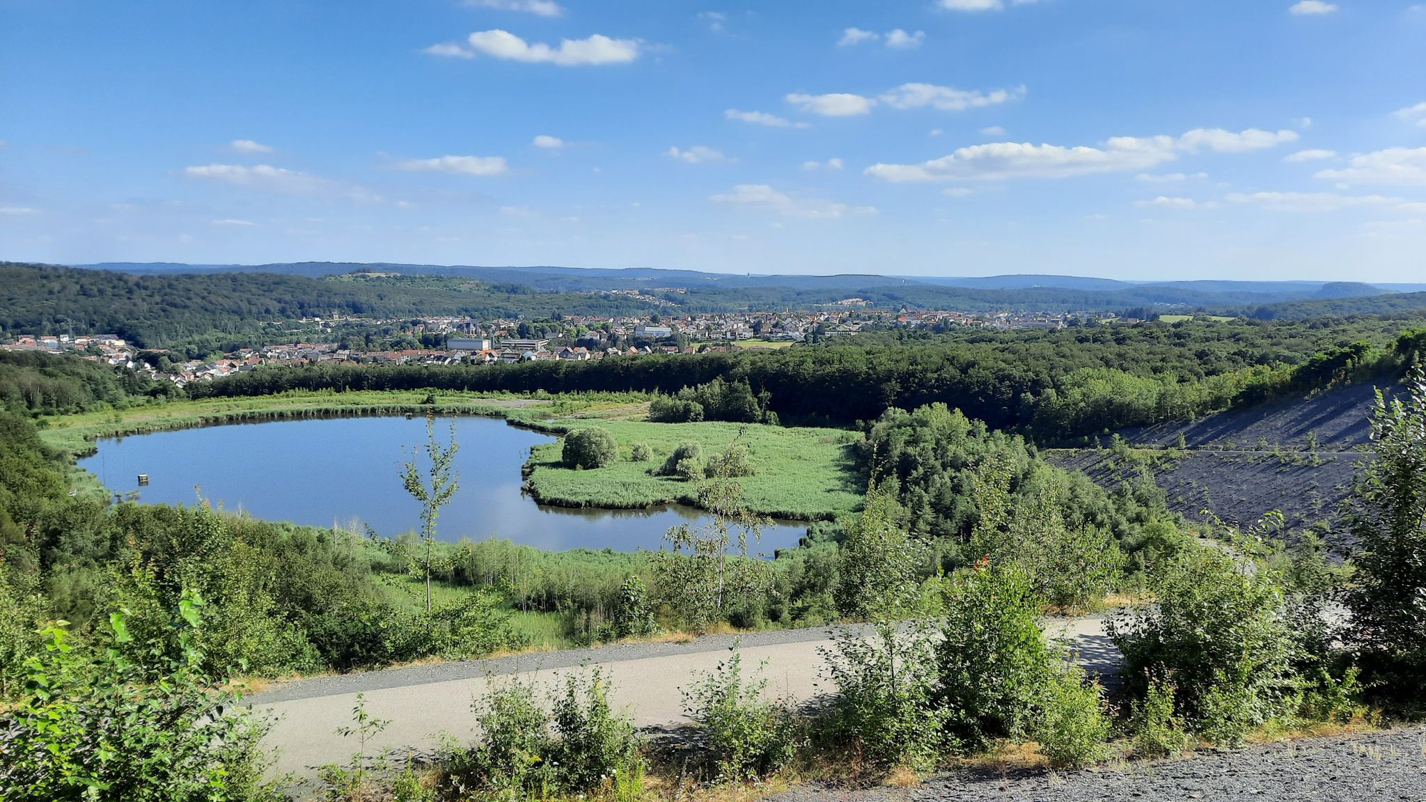 Blick über den Köhlbachweiher zum.Saarkohlenwald