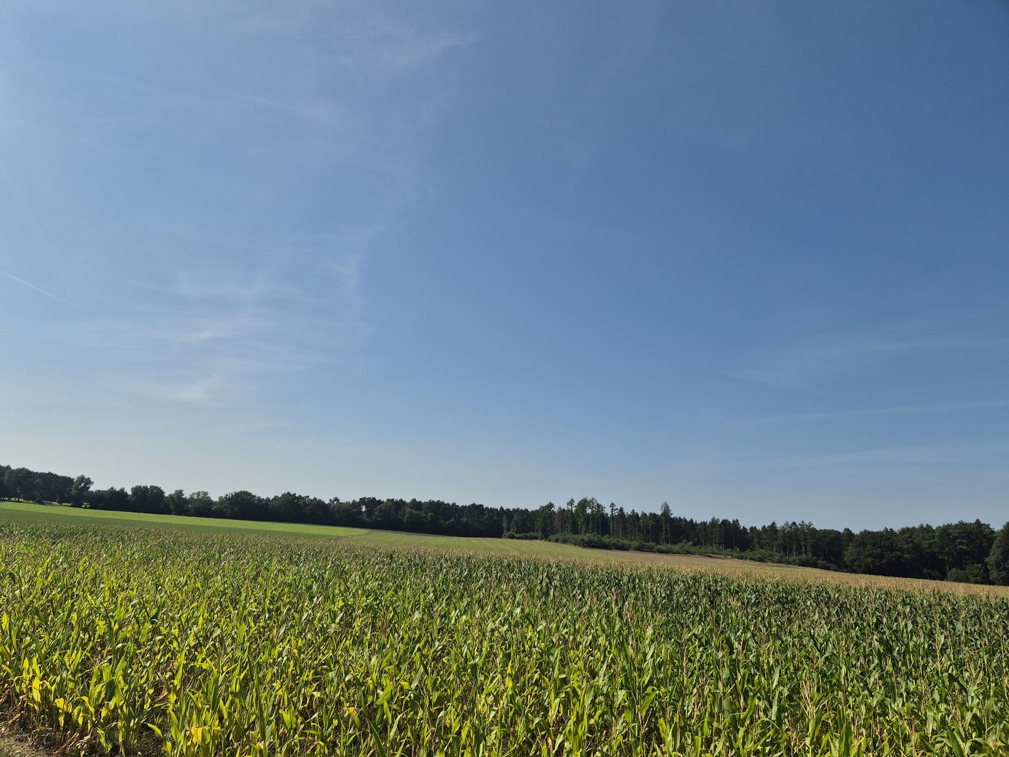 Und noch ein Ausblick über die Felder!