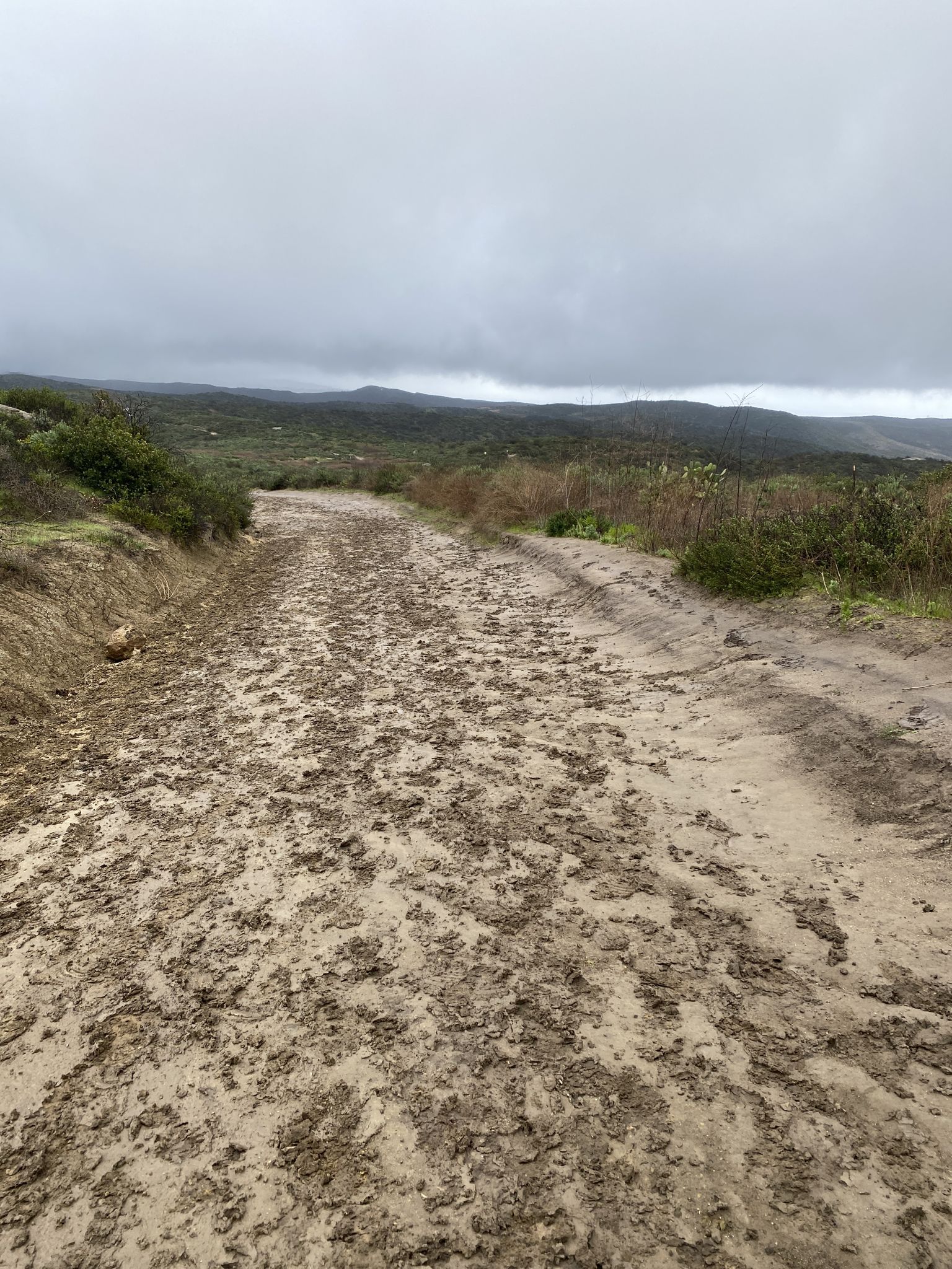 Muddy dirt road with tire tracks, under a dark, overcast sky. - Bommer Ridge, Lizard, and Laurel Canyon Loop